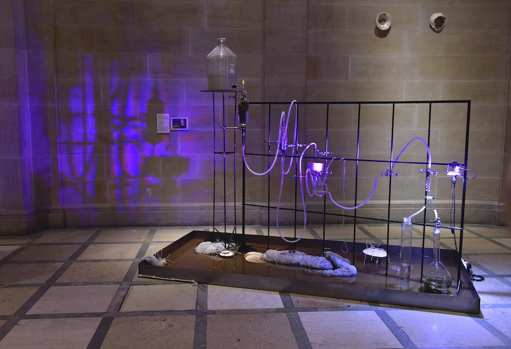 RSA New Contemporaries 2020