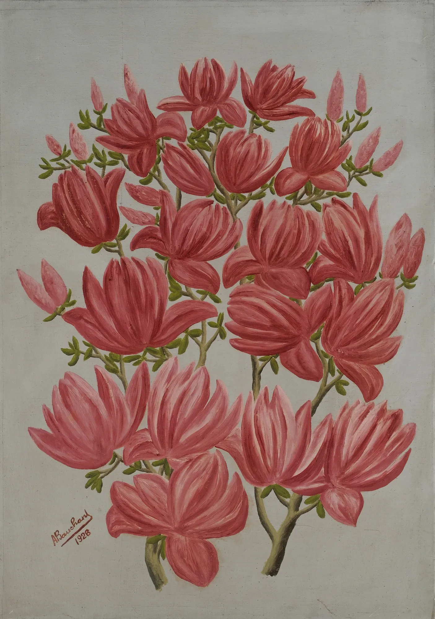 André Bauchant Magnolias, 1928 Huile sur toile 92 x 65 cm