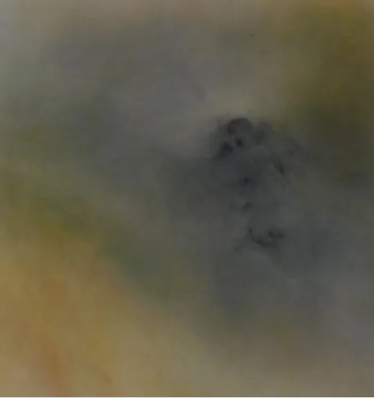 Michael Biberstein F.P. 4/04, 2004