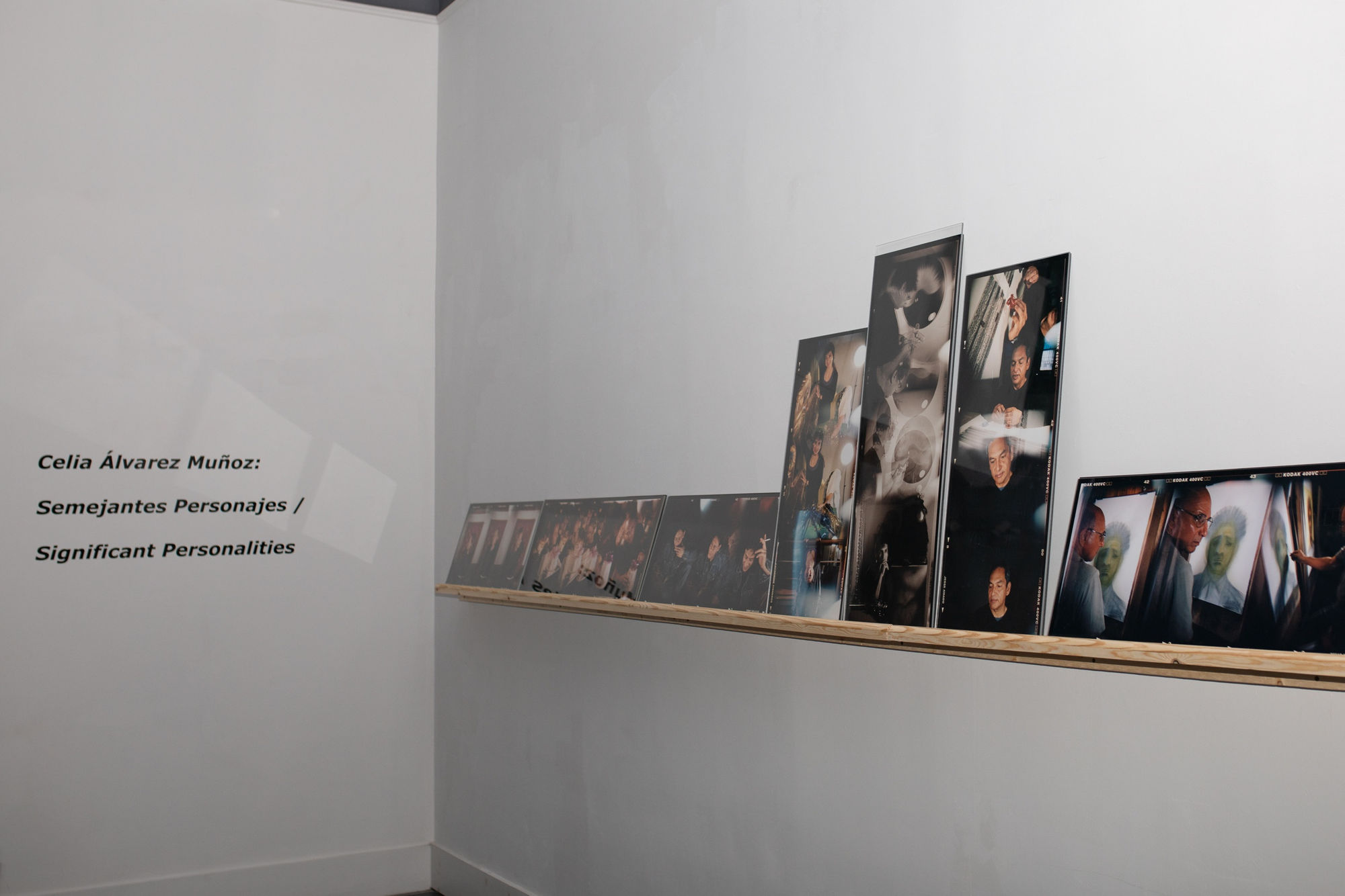 Celia Álvarez Muñoz: Semejantes Personajes/Significant Personages