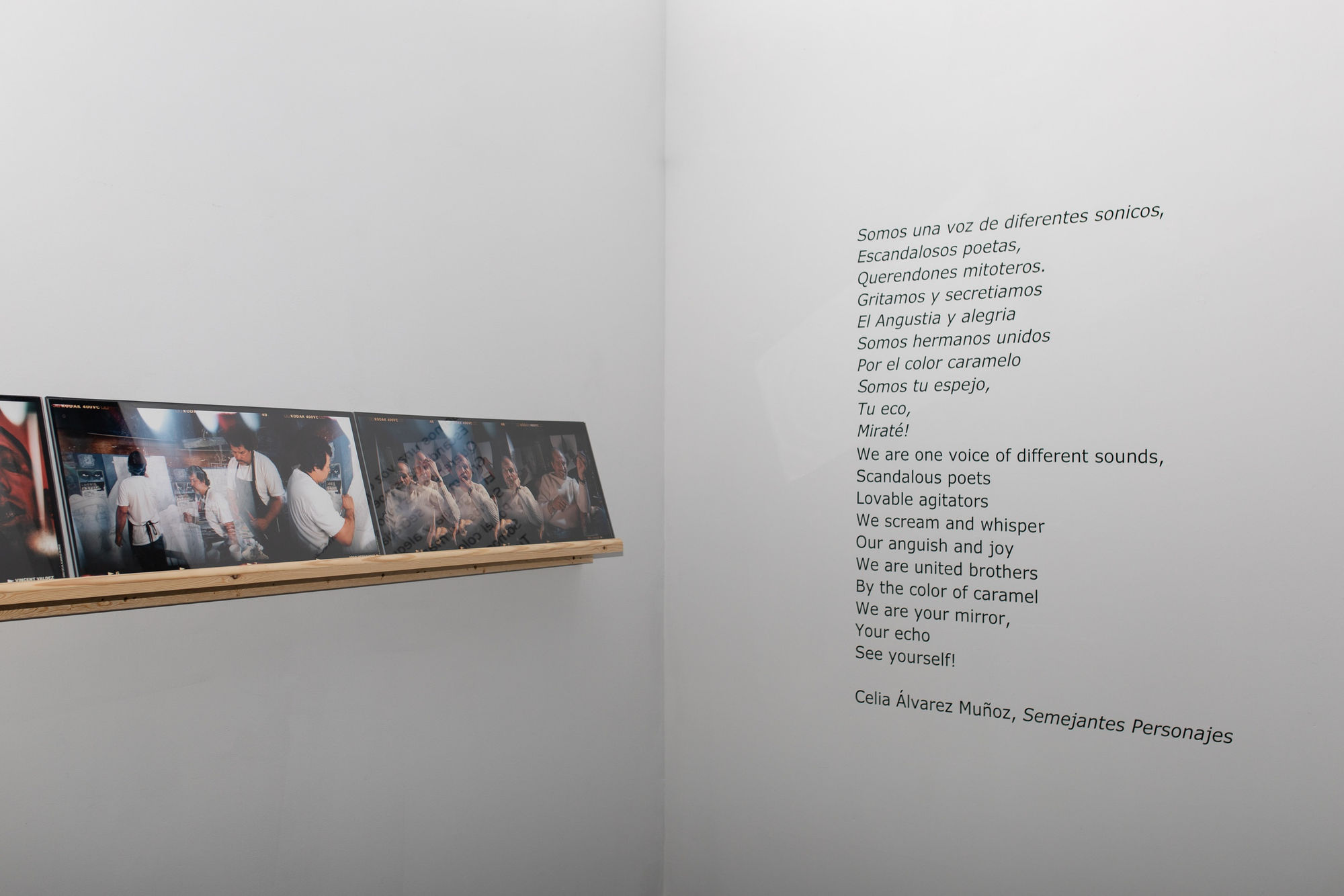 Celia Álvarez Muñoz: Semejantes Personajes/Significant Personages