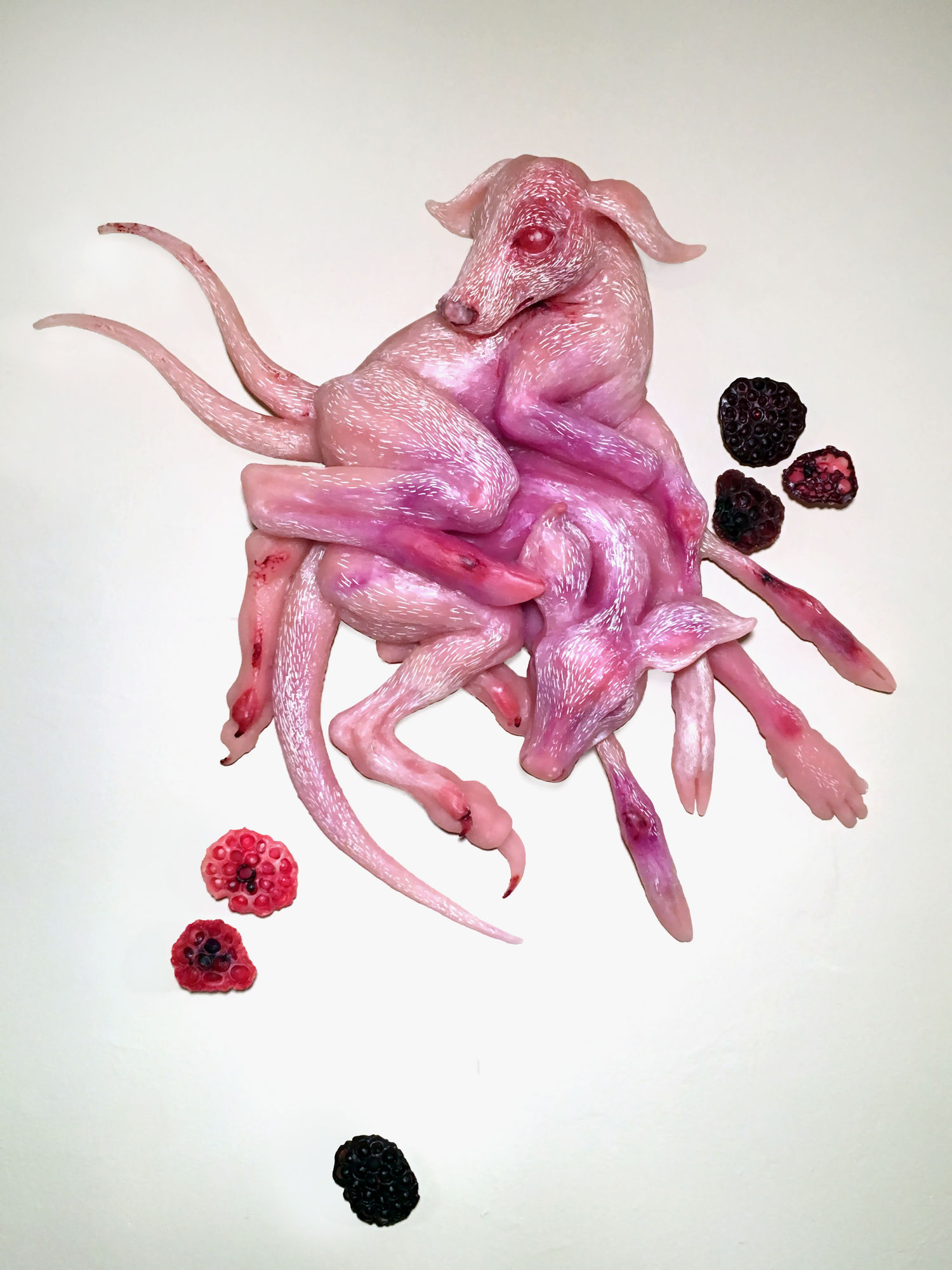 Sarah Fox Gestational Knot, 2017