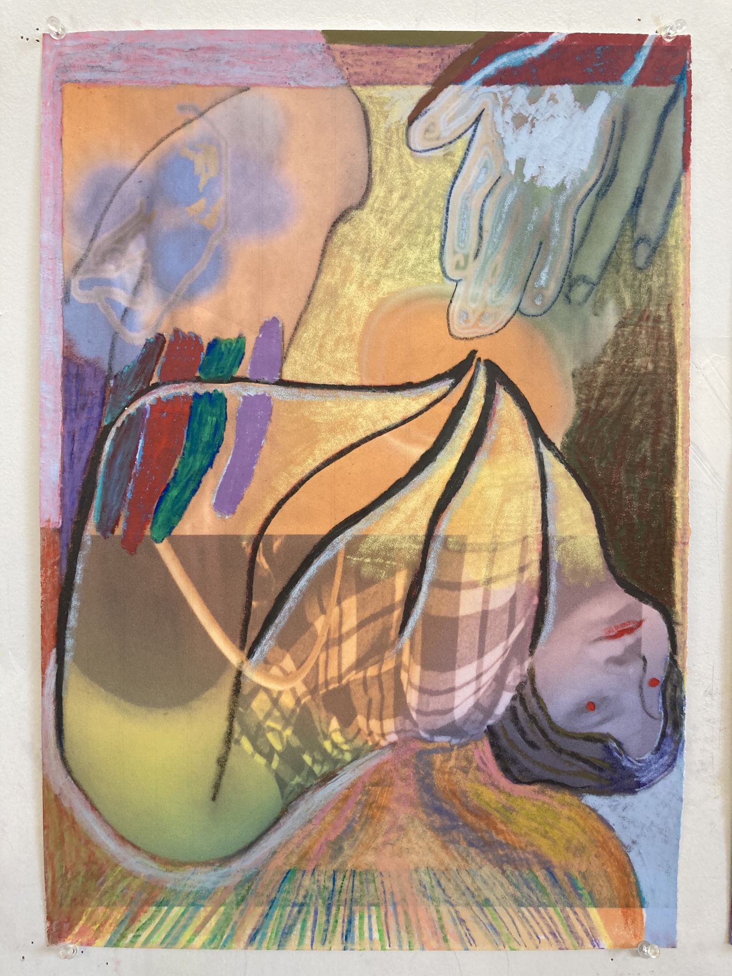 Gaby Collins-Fernandez Chrysalis, 2020 Crayons and digital photocollage on flocked paper 19 x 13.5 in 48.3 x 34.3 cm