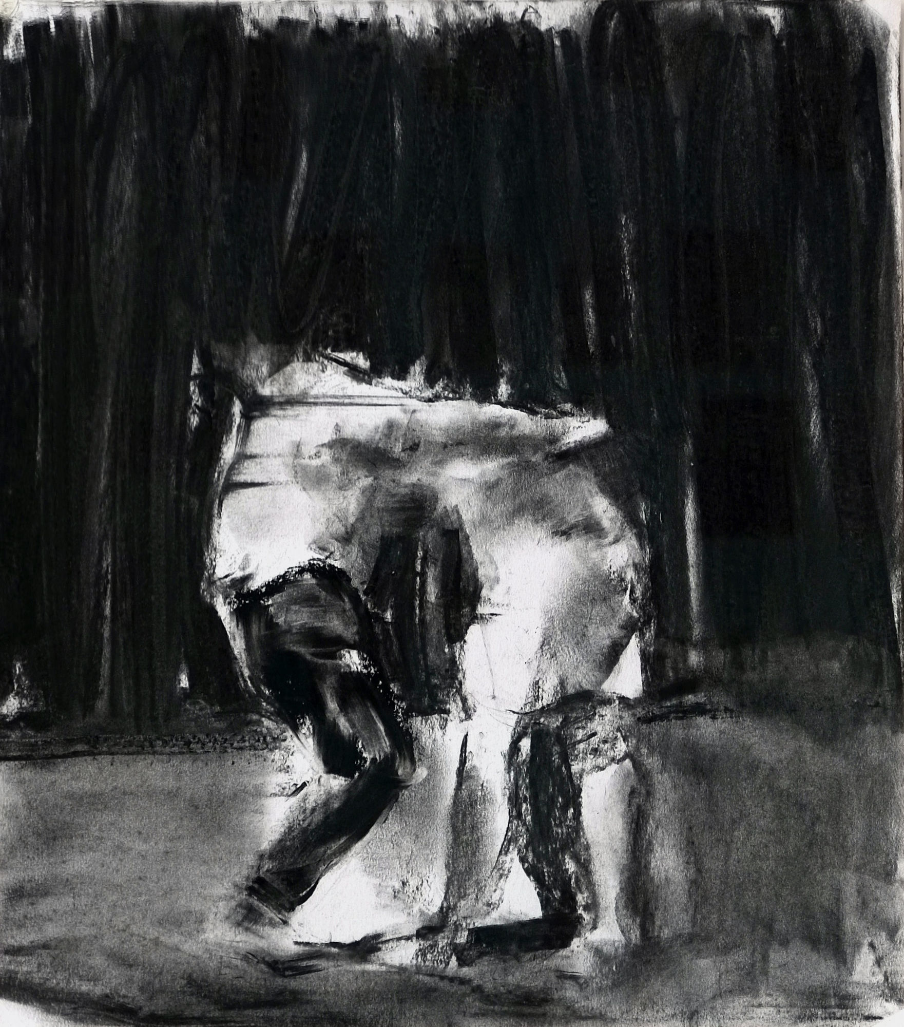 SEBASTIAN HOSU - NATURAL SELECTION - 2017 - CHARCOAL ON PAPER - 54 X 49 CM