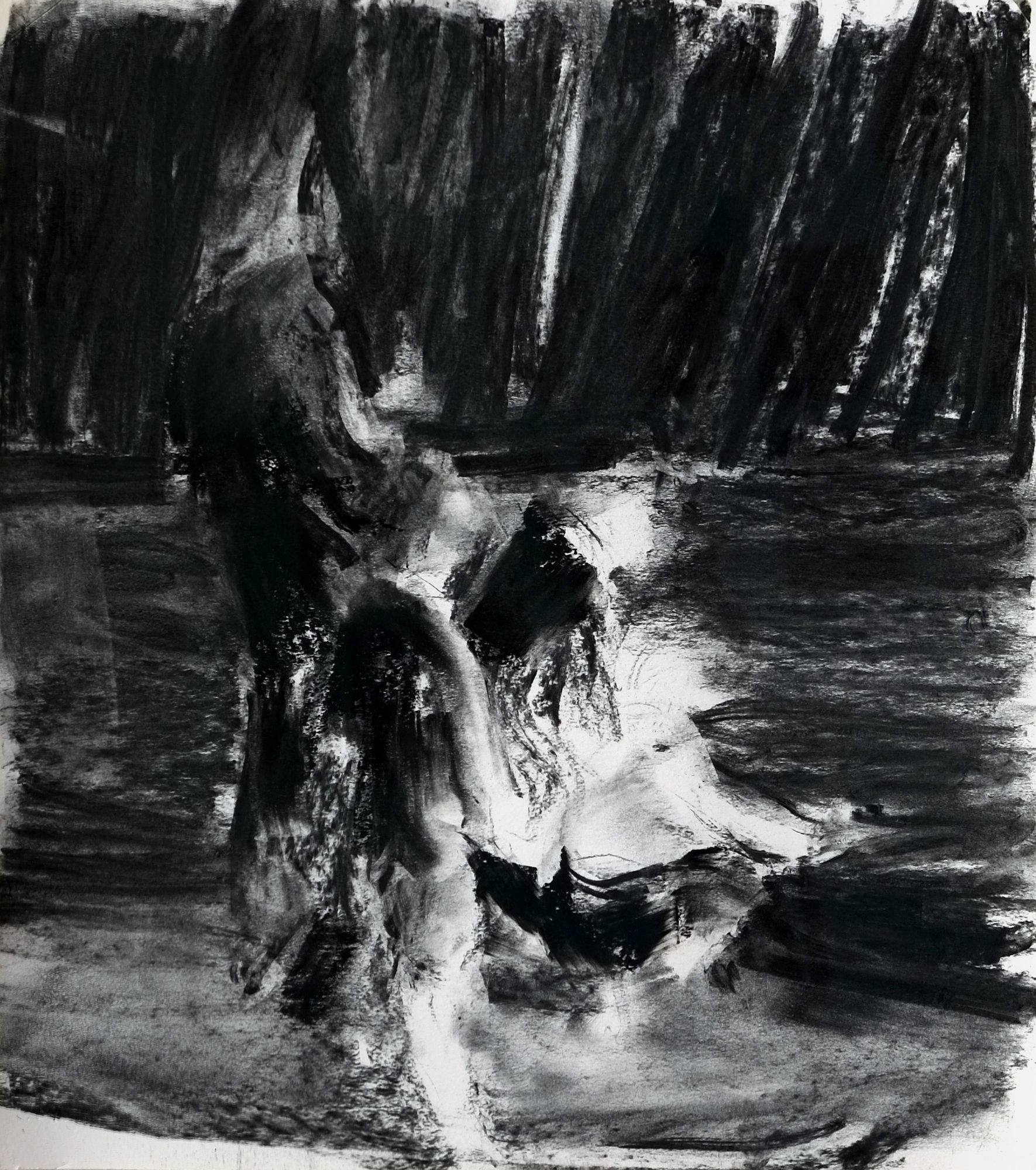 SEBASTIAN HOSU - UNTITLED - 2017 - CHARCOAL ON PAPER - 54 X 49 CM