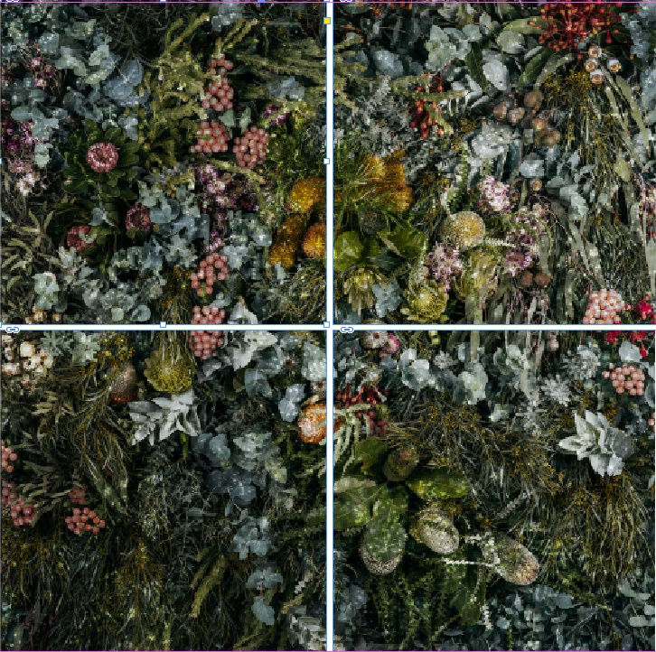 Christian Thompson, Wanga Bayi (That Stick Won’t Come Back), 2018