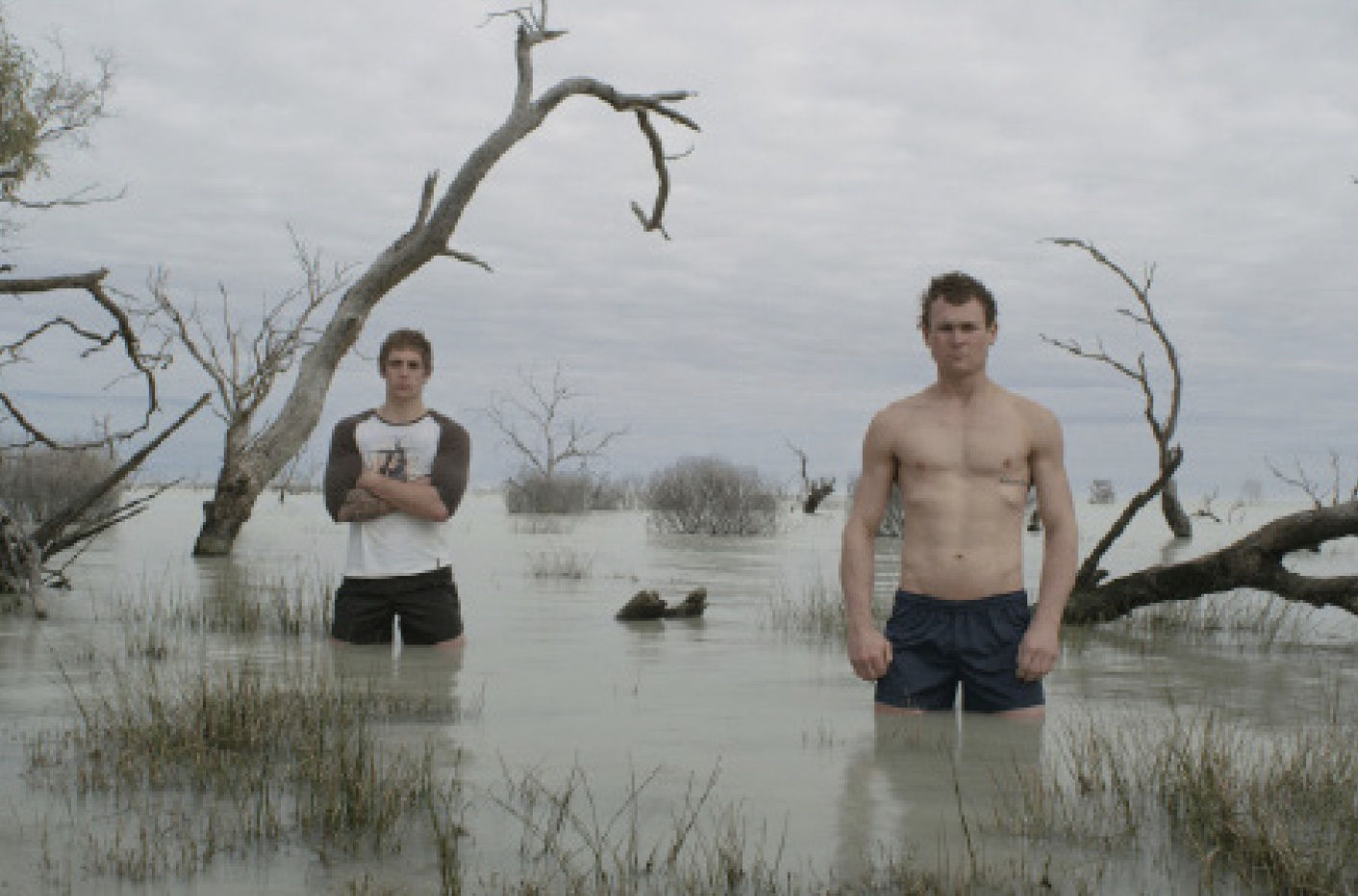 Cate Consandine, Cut Colony, 2012