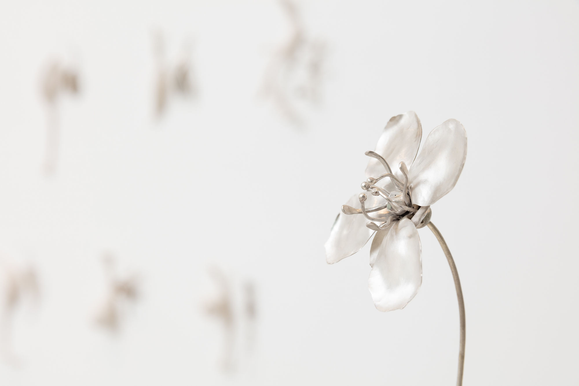 Sarah Rayner & Sophie Carnell