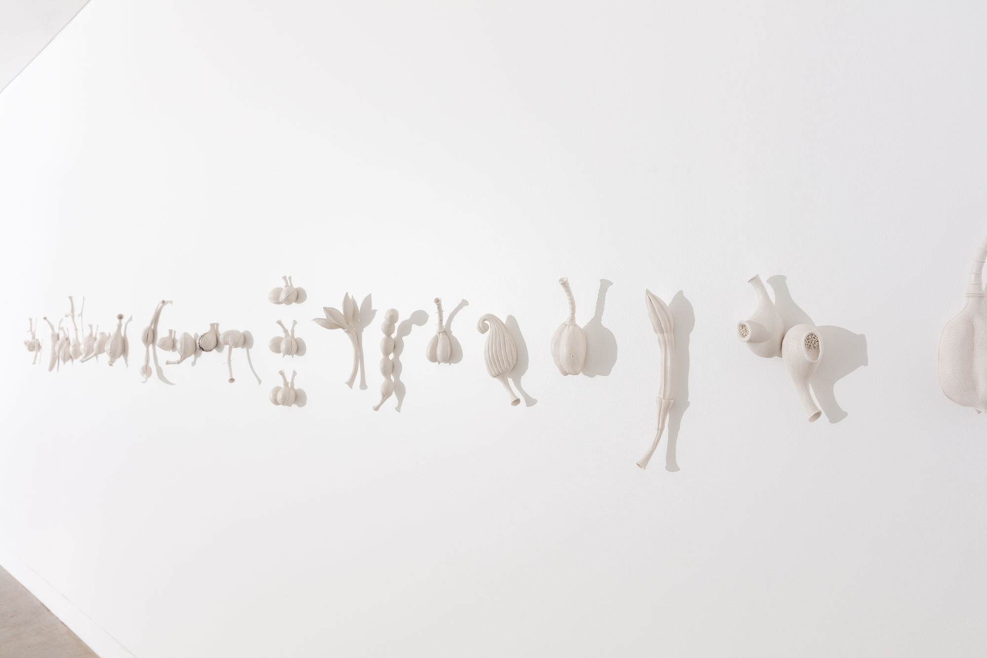 Photography By Simon Hewson