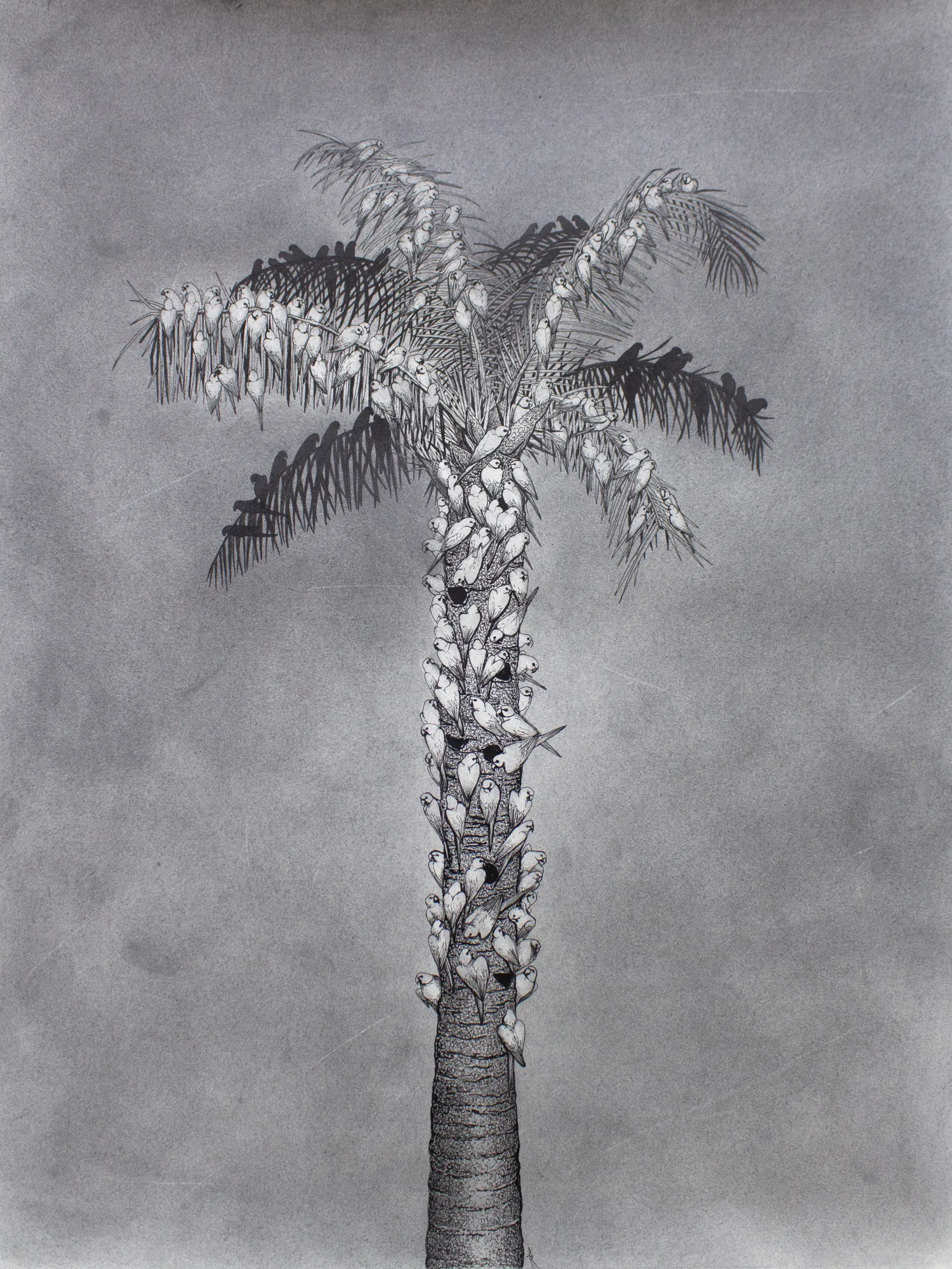 Firi Rahman, Limited Edition Print, 2021, 24"x18", LKR 20,000