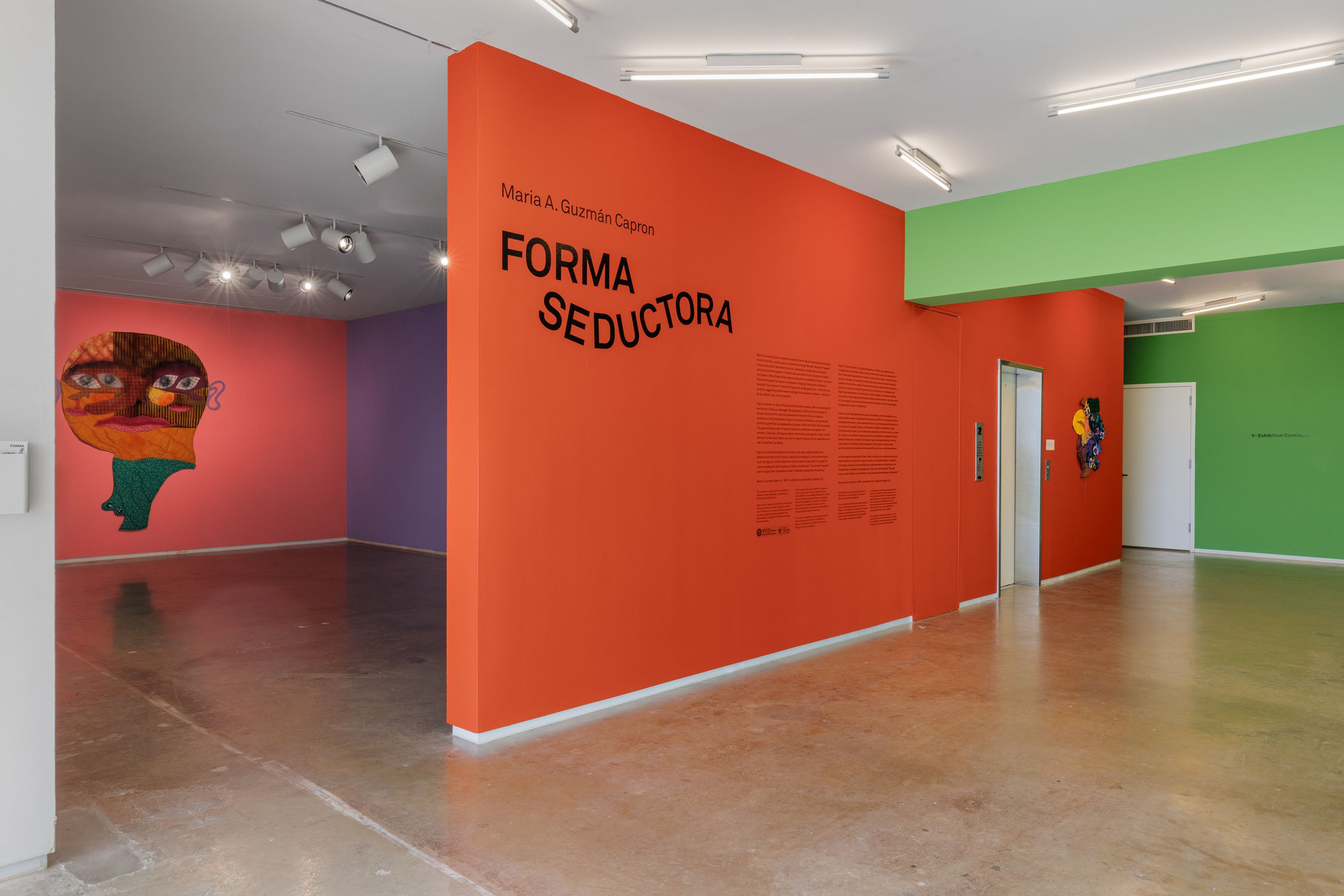 Installation view, Maria A. Guzmán Capron, Forma Seductora, Blaffer Art Museum, July 15 – September 18, 2022.