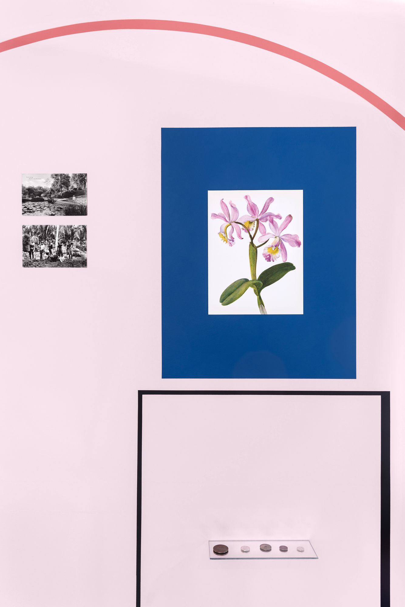 On The Nature of Botanical Gardens