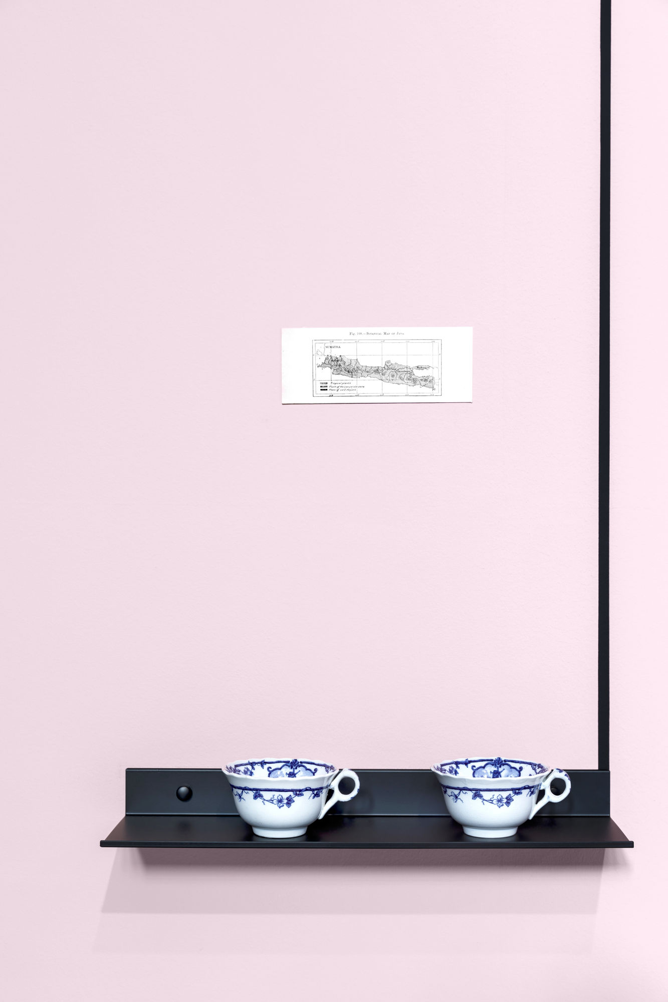 On The Nature of Botanical Gardens