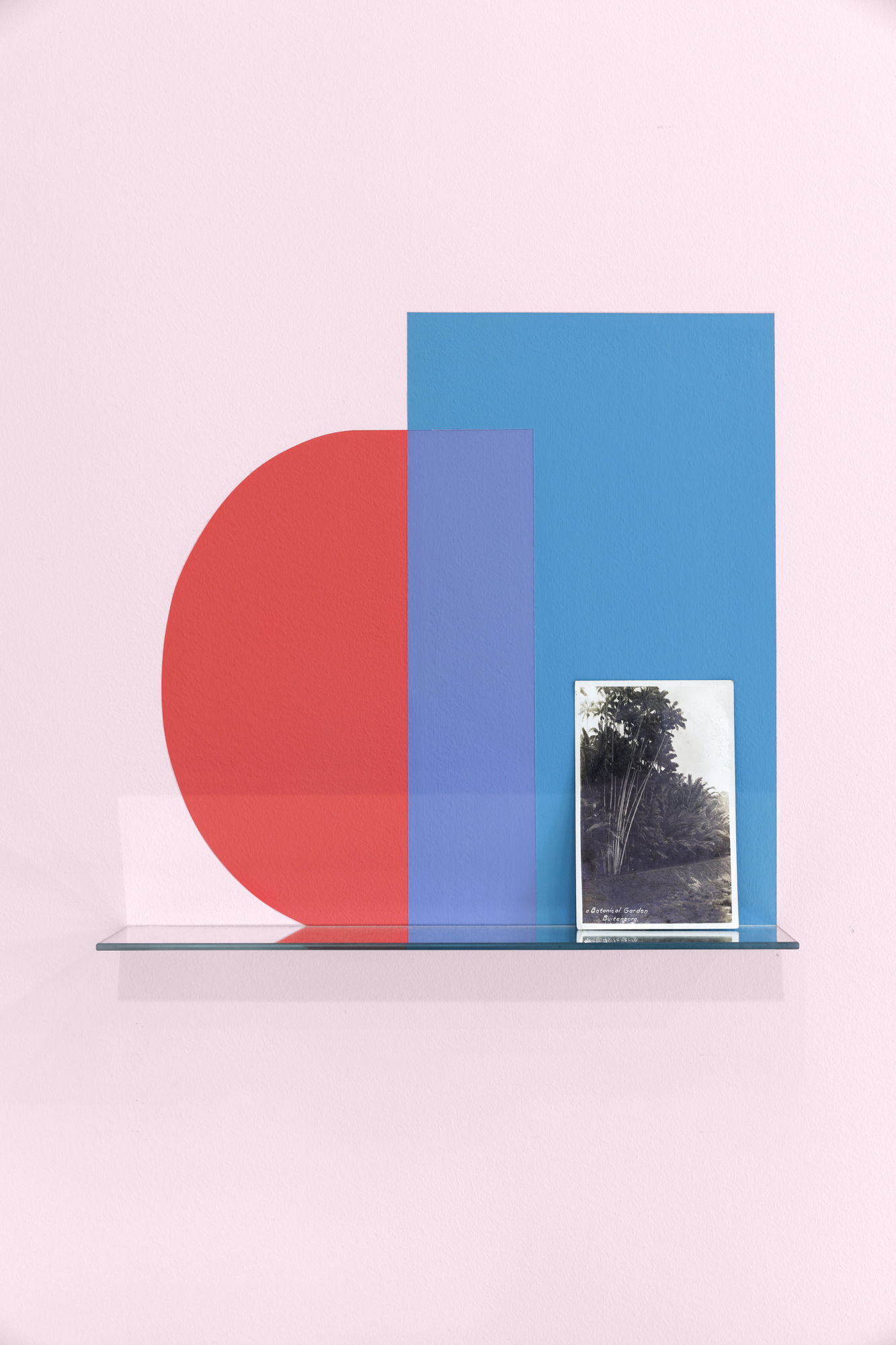 On The Nature of Botanical Gardens