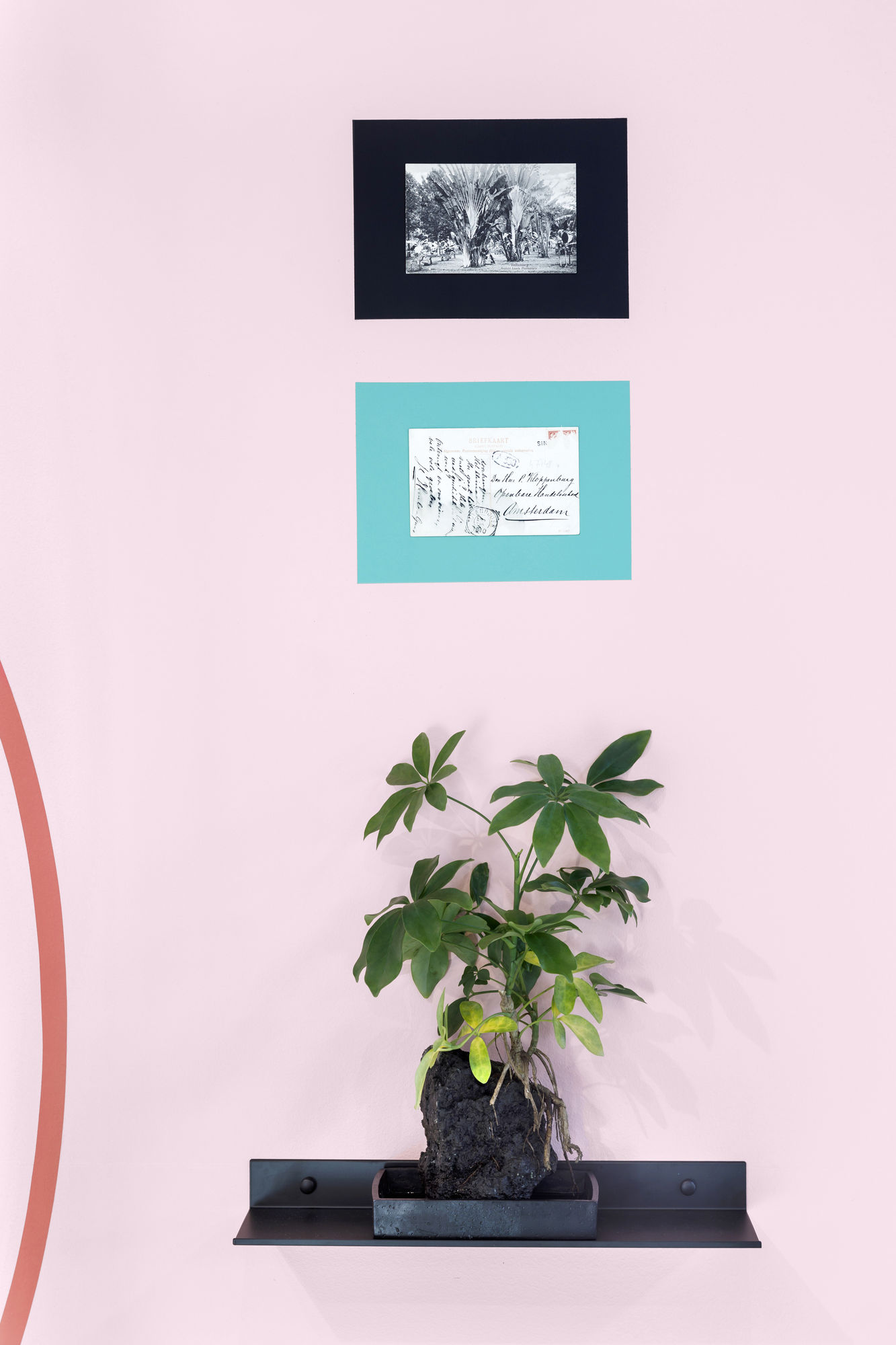 On The Nature of Botanical Gardens