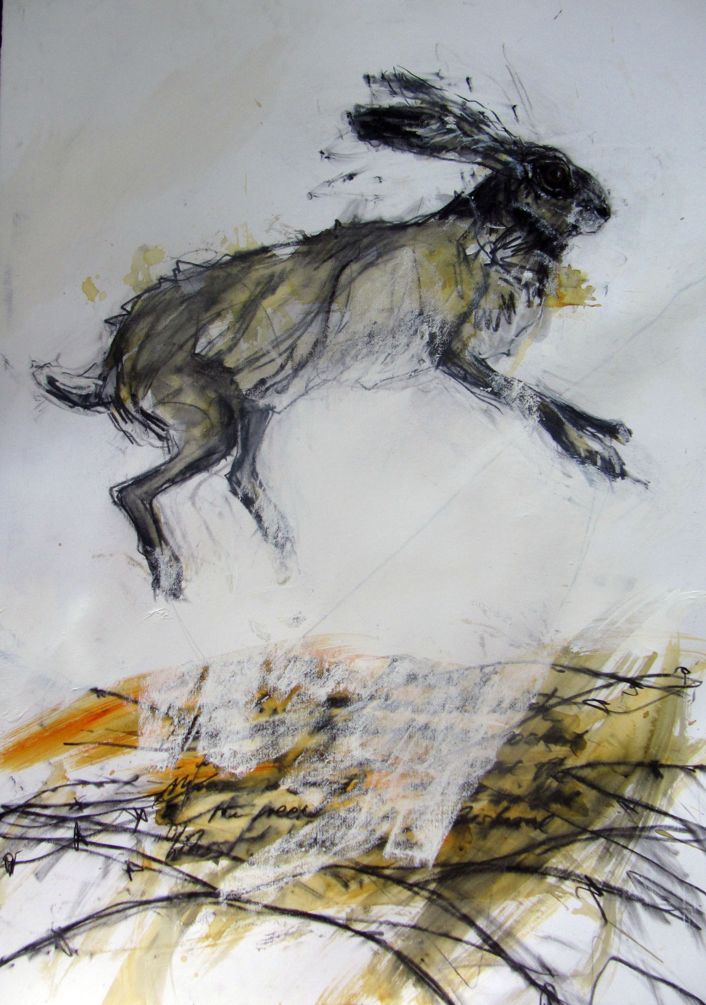 Margo Banks Witch Hare 4