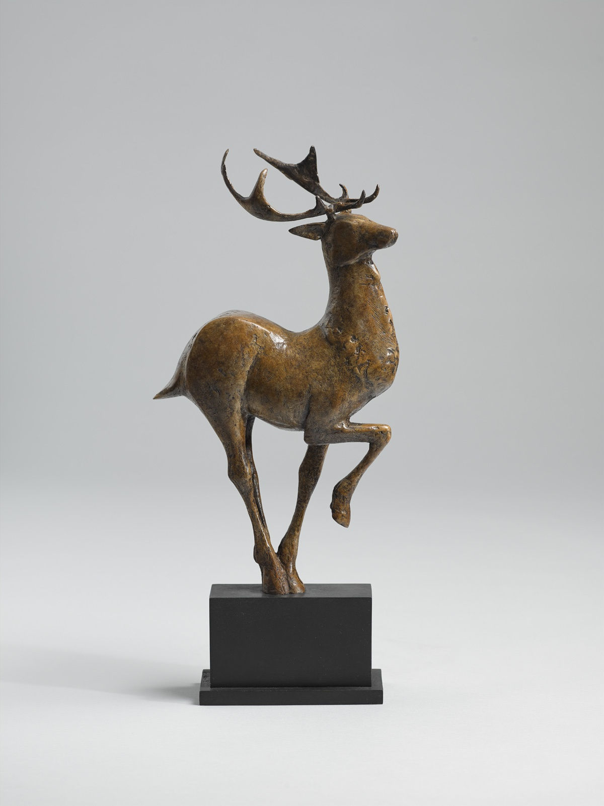 Peter Killeen Ruru Deer