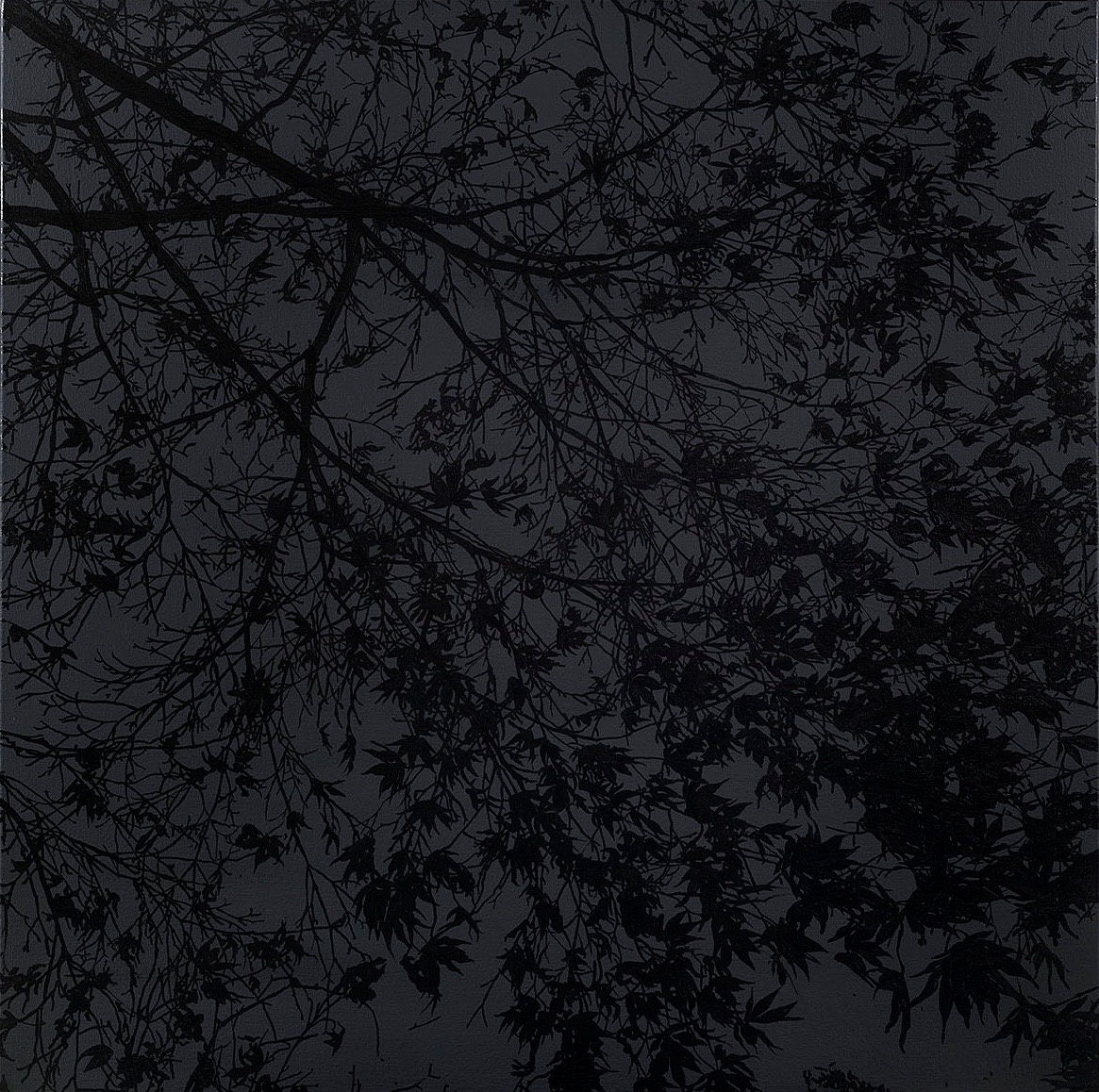 Waiting for the moon