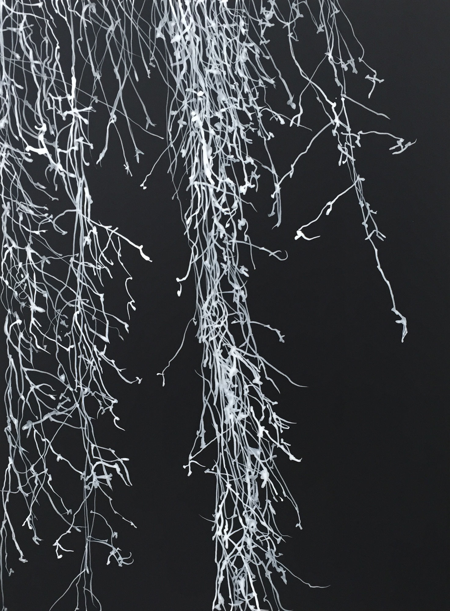 Waiting for the moon