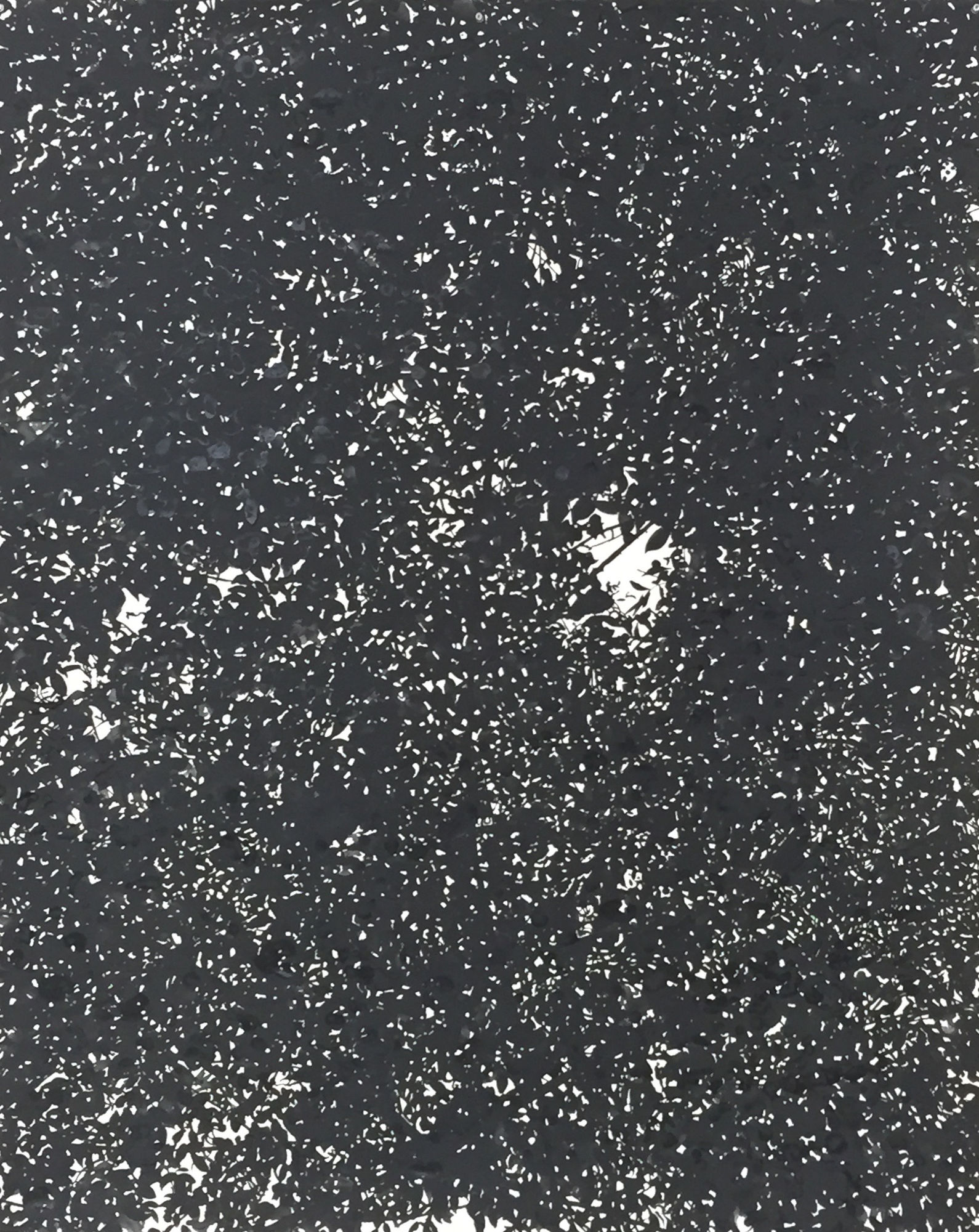 Waiting for the moon