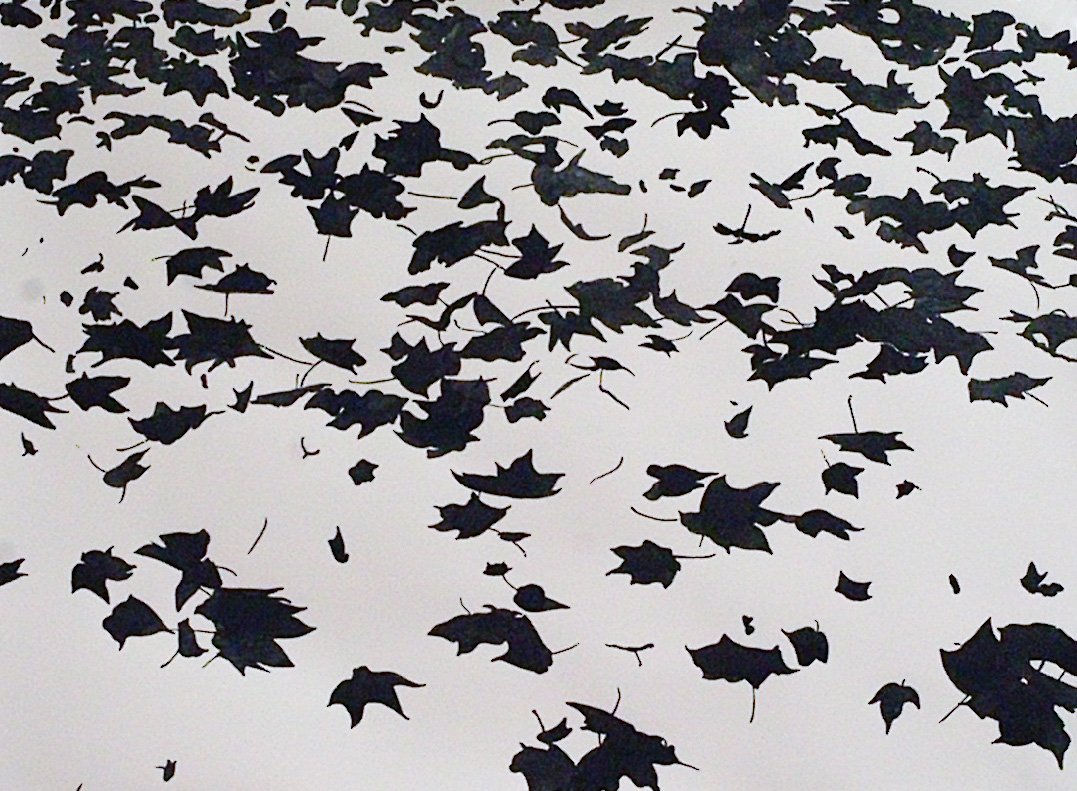 Courtyard Gallery, The National Botanic Garden of Wales