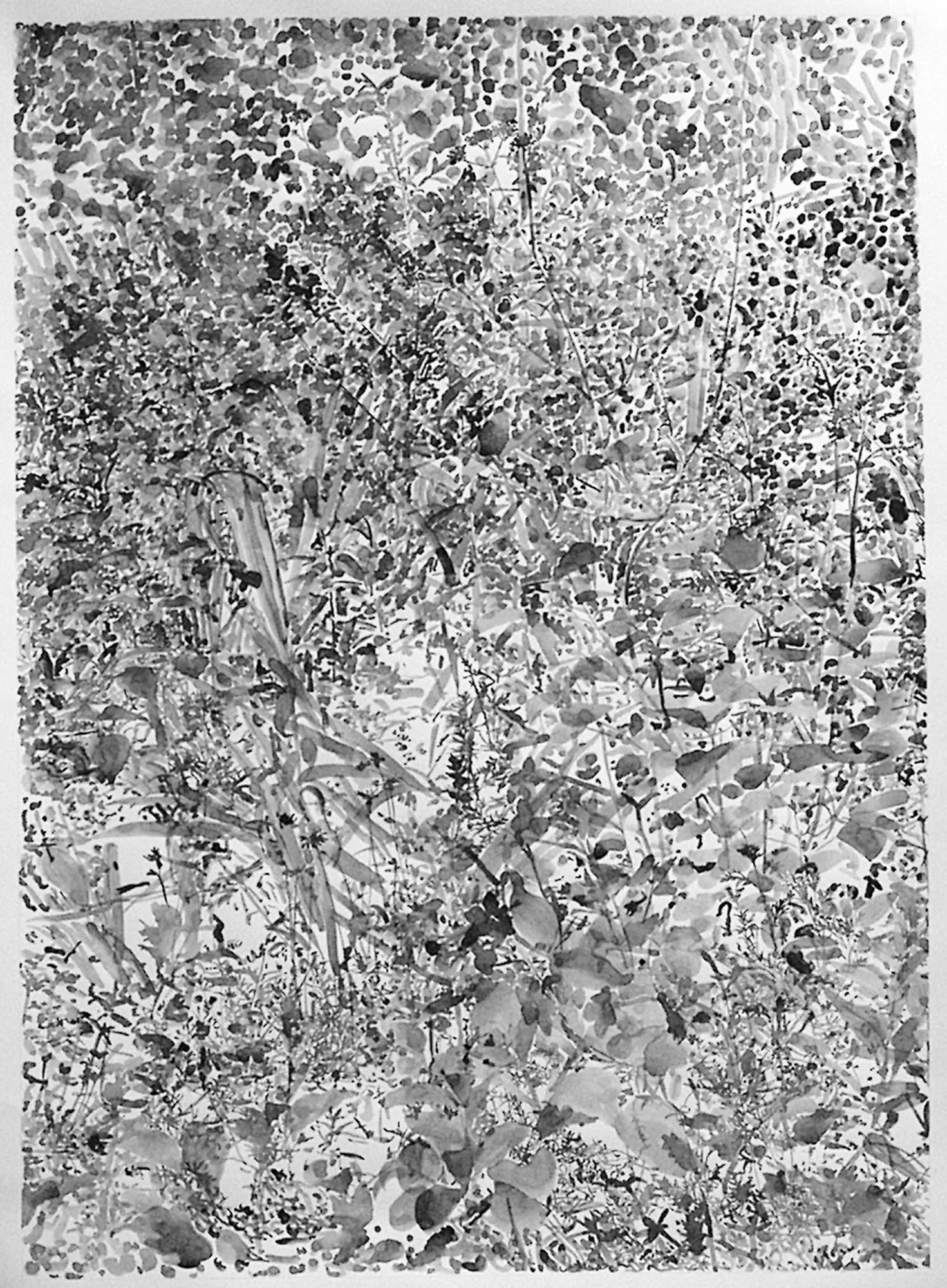 Courtyard Gallery, The National Botanic Garden of Wales