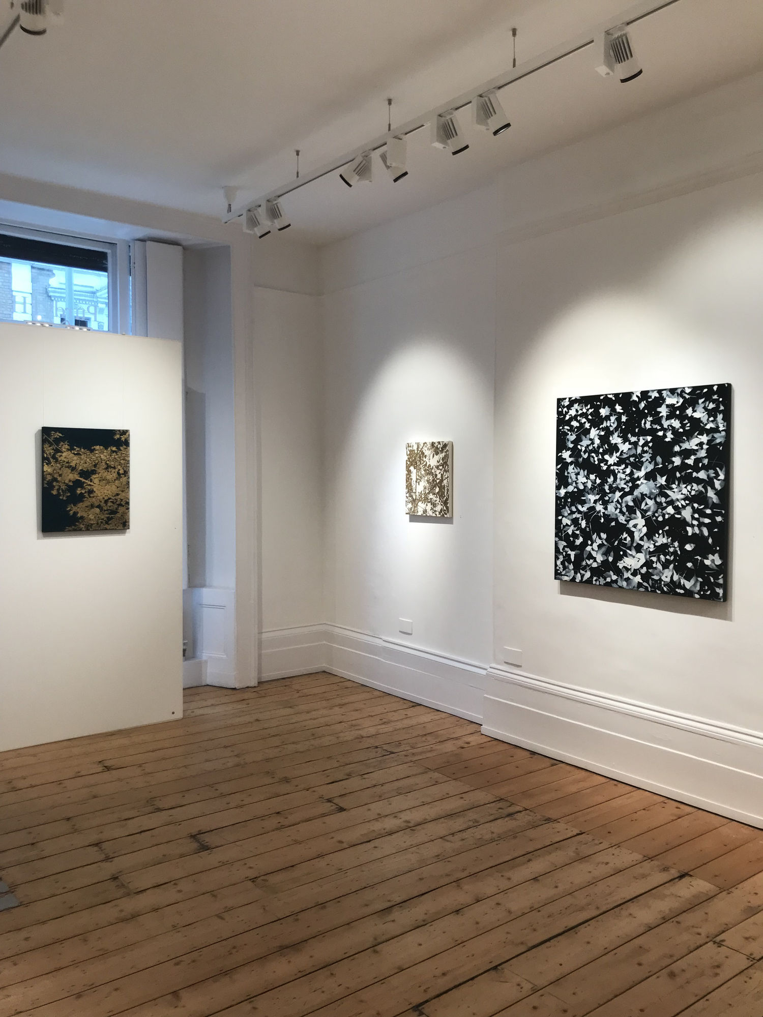 We Could Dream This Night Away