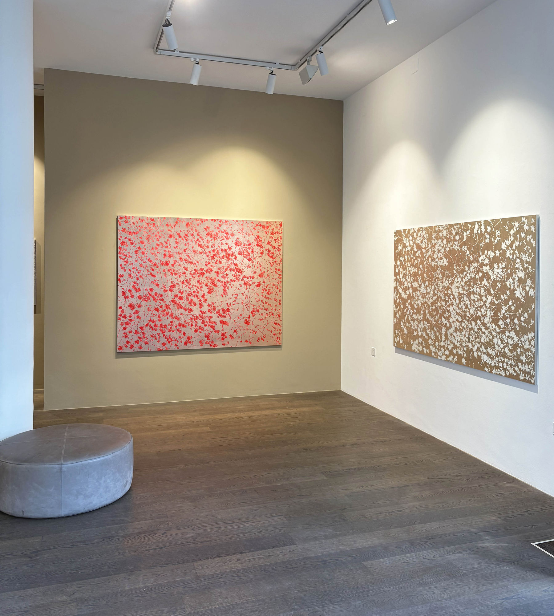 The Light that Carries Me