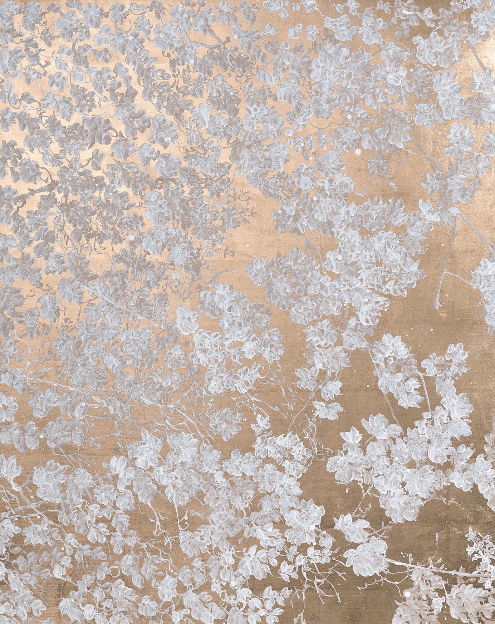 I'll fly a little higher, 2022