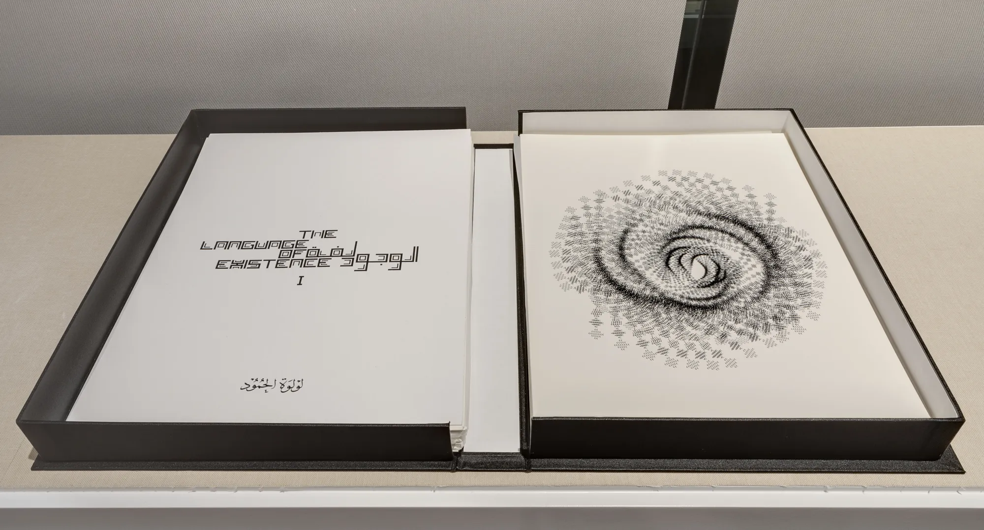 The Language of Existence, Limited Edition Book of 25 portfolios with 50 different artworks, 30 x 40 cm, Silkscreen on archival paper, 2018