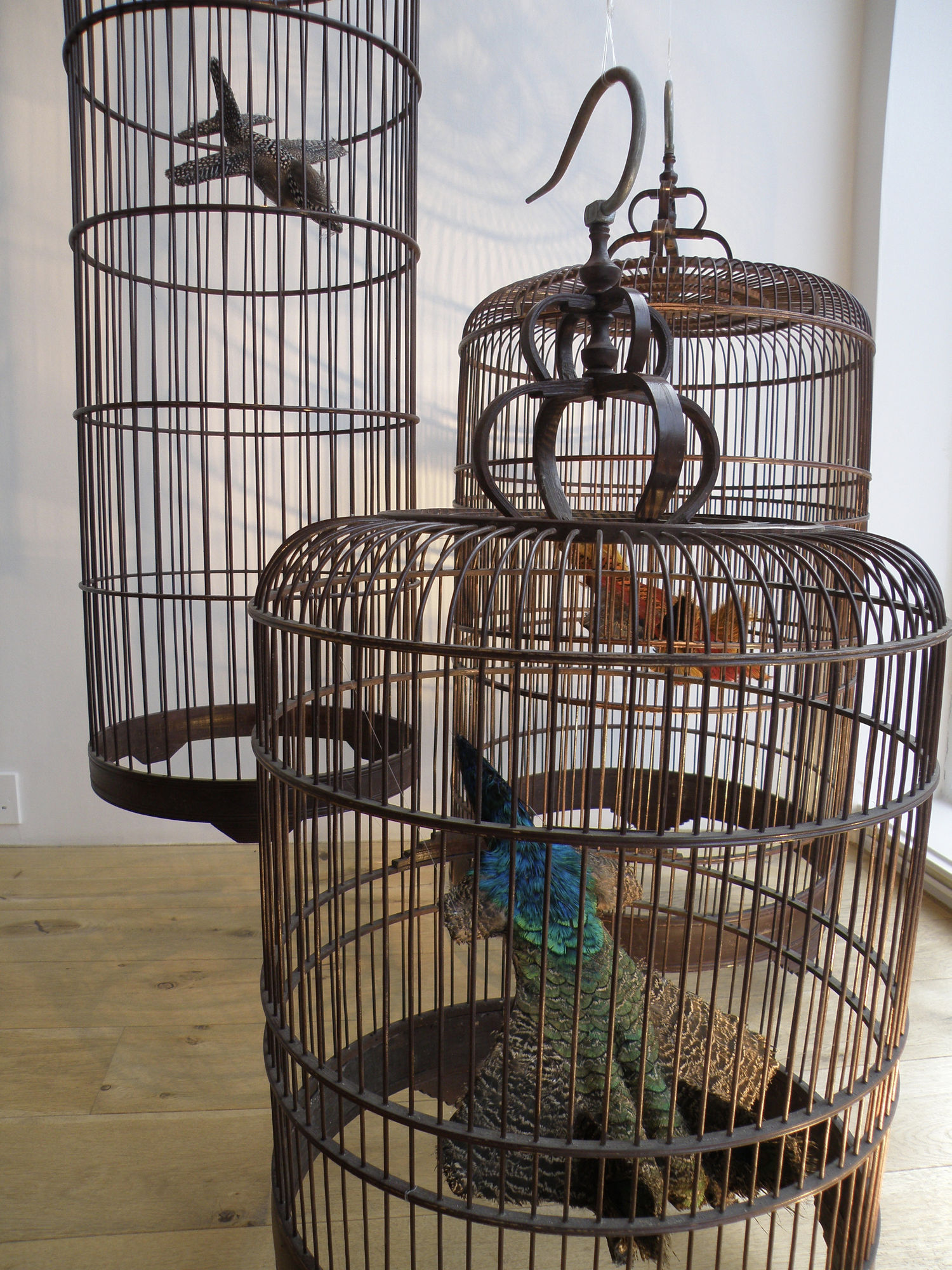 CHINESE DESIGN TODAY