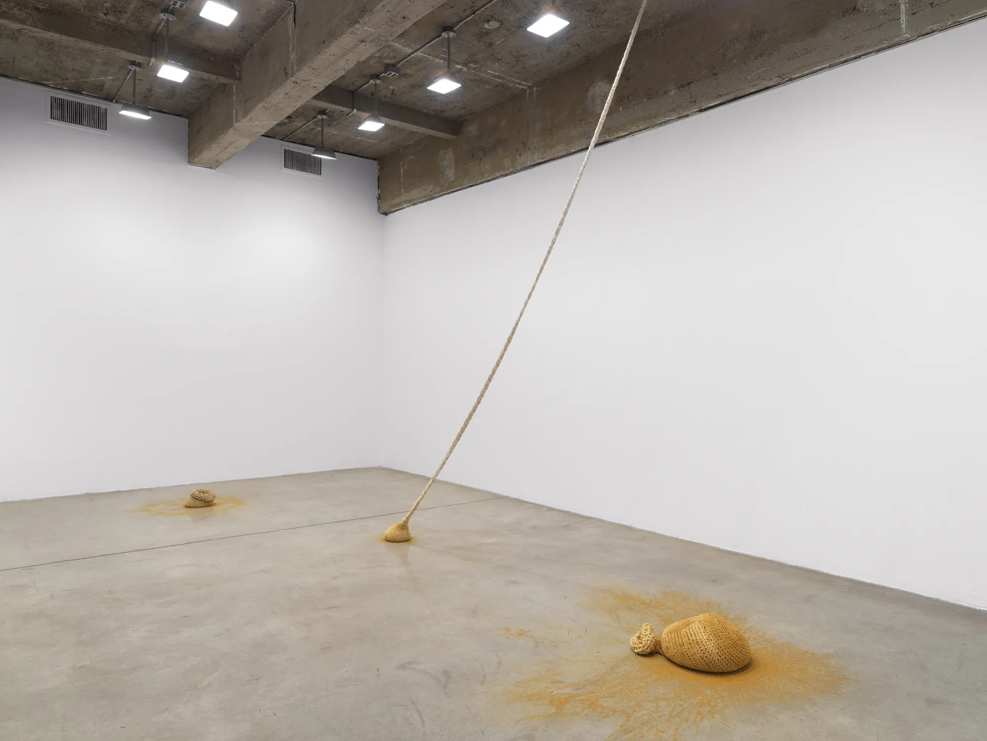install view of Ernesto Neto's exhibition