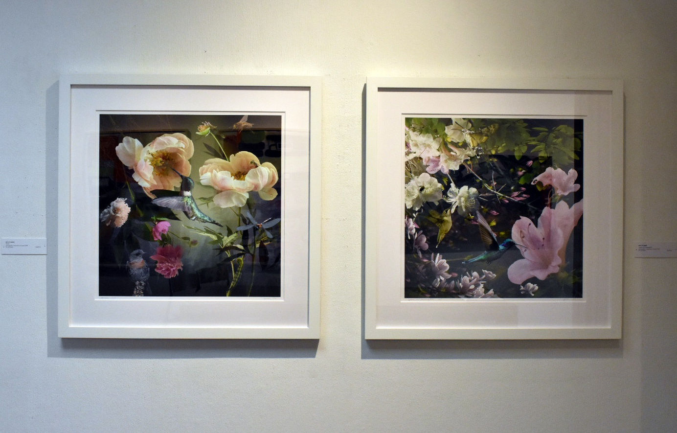 Nevertheless, She Created.