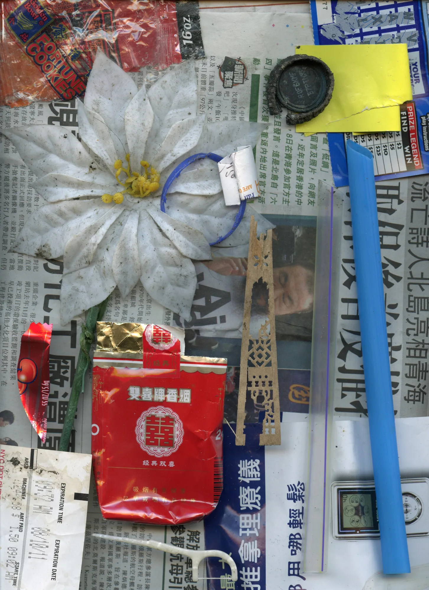 Ron Barron, Plastic Lotus, 2015