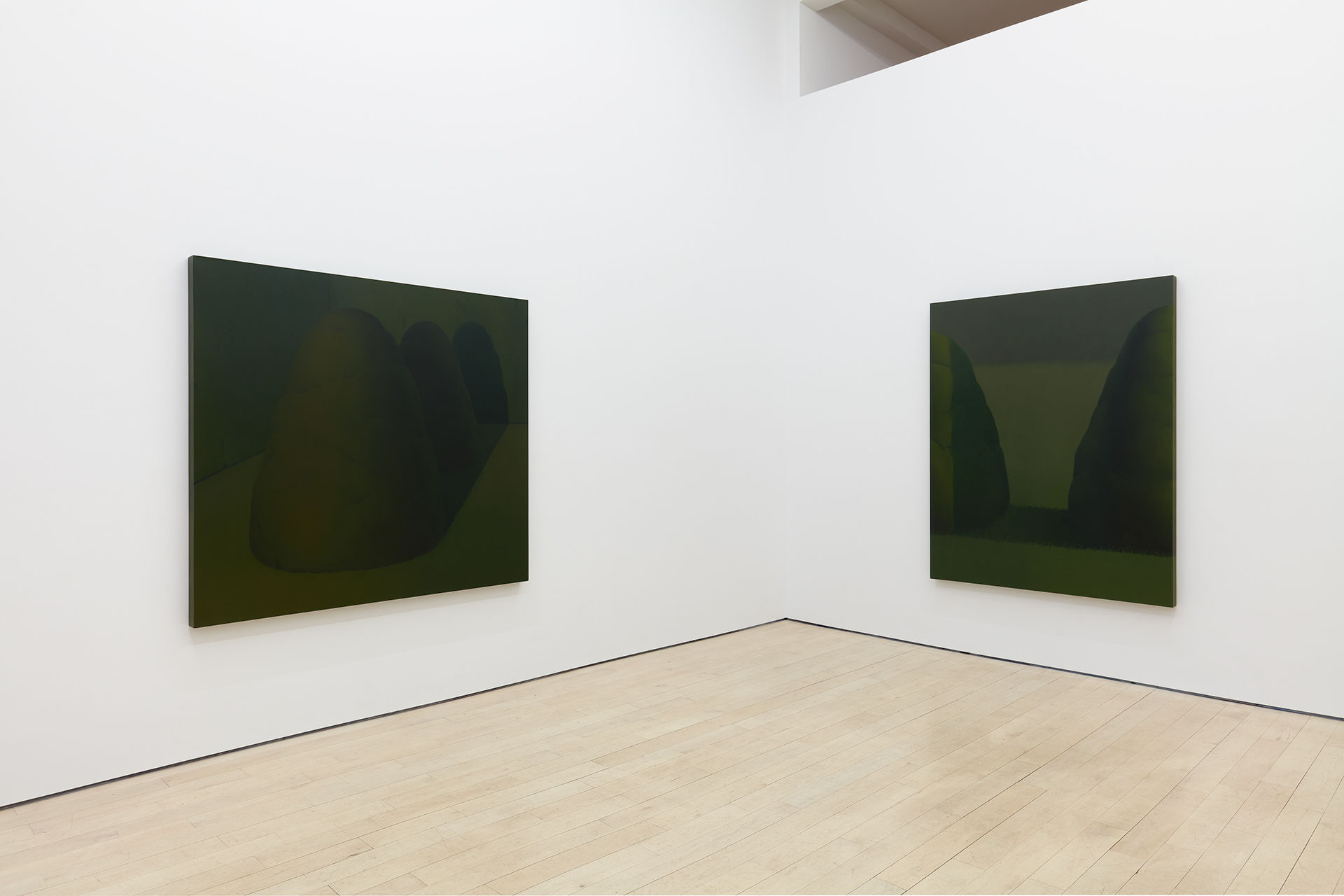 Sarah Schlesinger Two Trees Tennis Elbow 136 Installation View 2