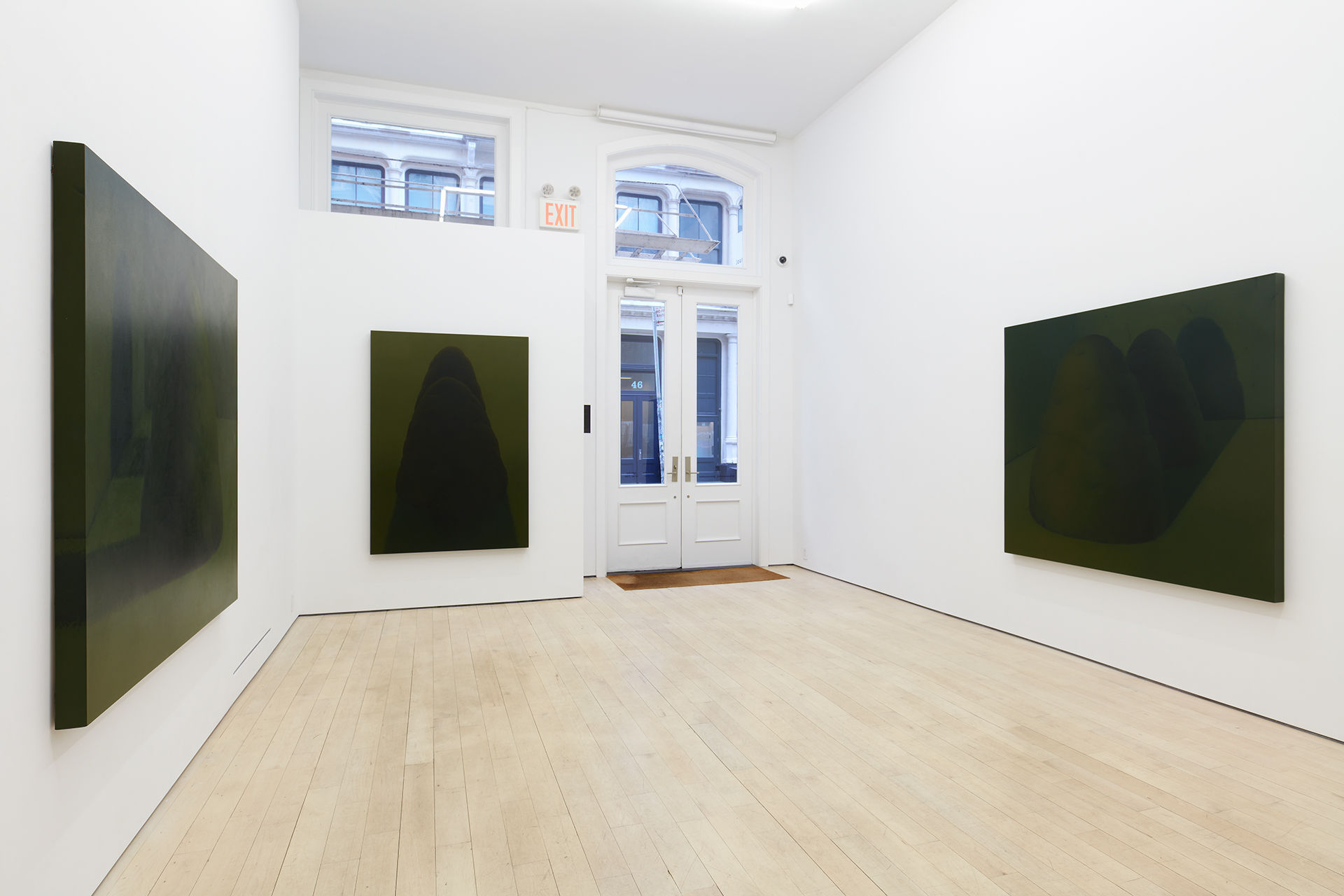 Sarah Schlesinger Two Trees Tennis Elbow 136 Installation View 8