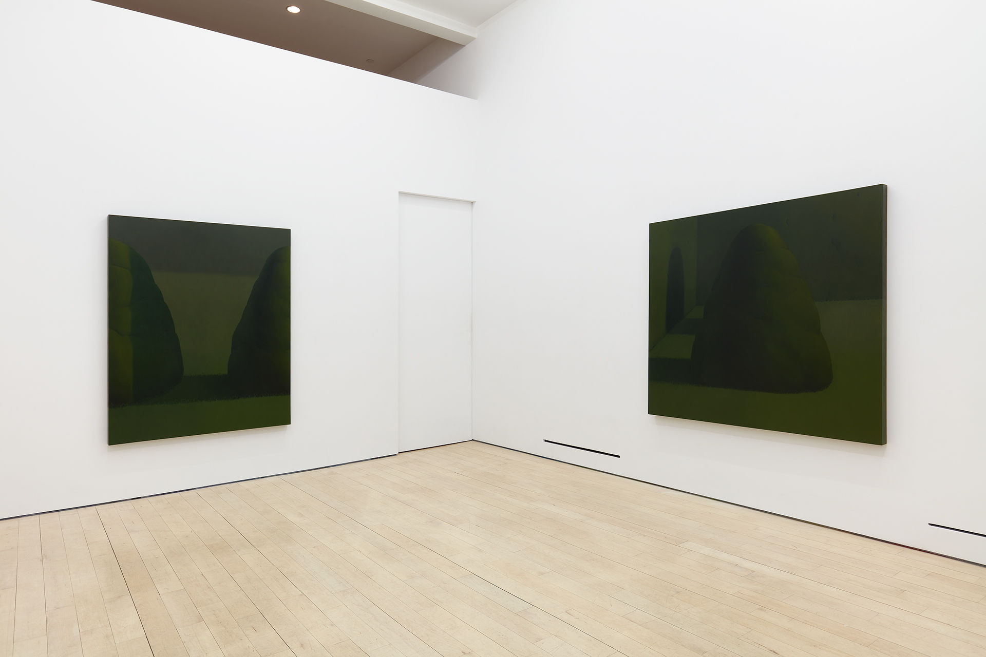 Sarah Schlesinger Two Trees Tennis Elbow 136 Installation View 5