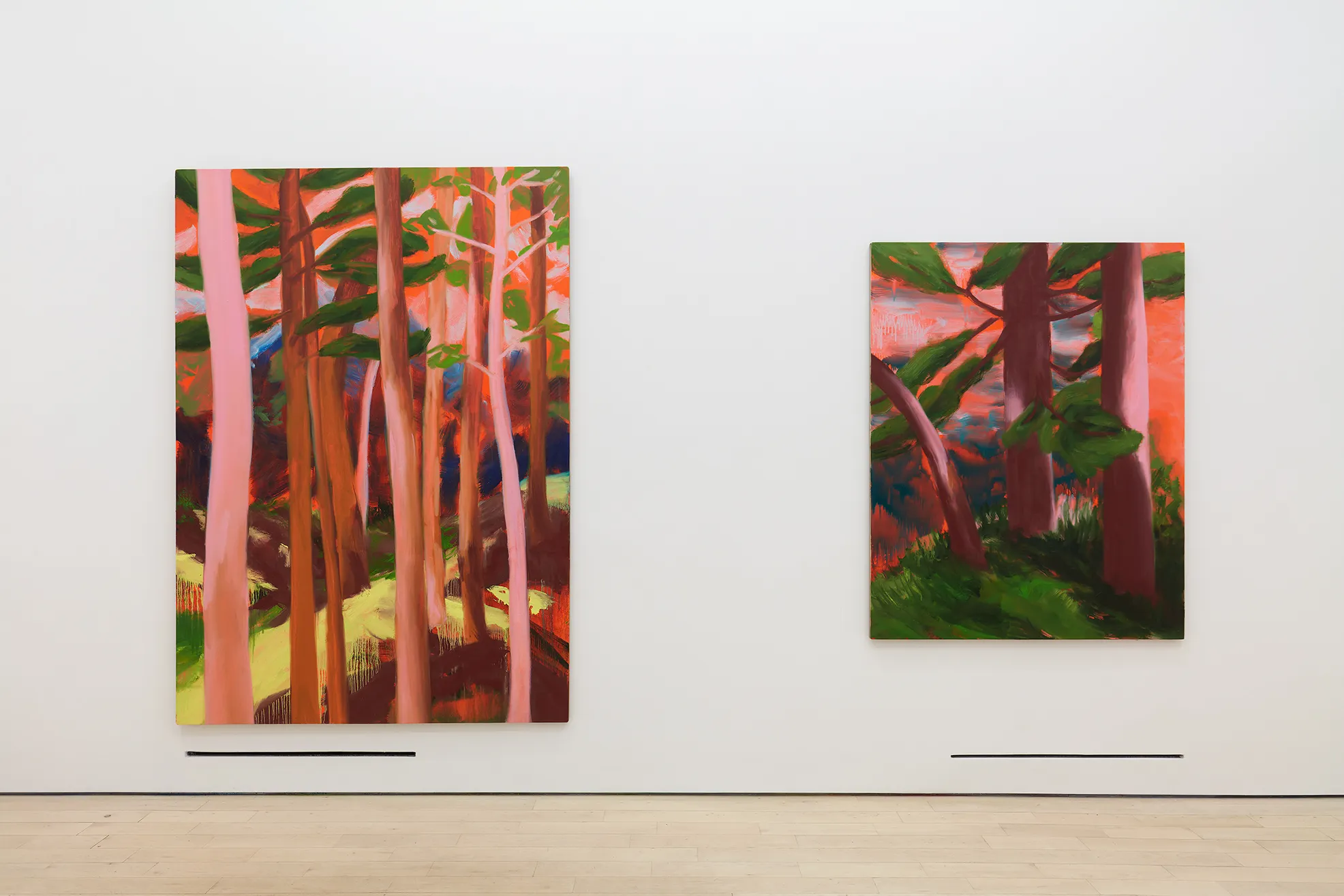 Nicole Wittenberg Tennis Elbow 93 Installation View 6