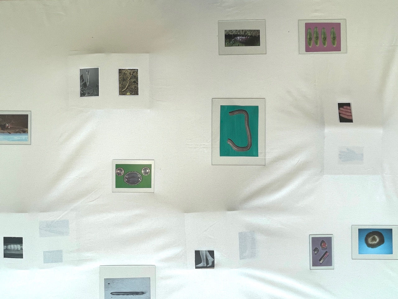 De Warande & STORMOPKOMST | 'MAKING FUN'