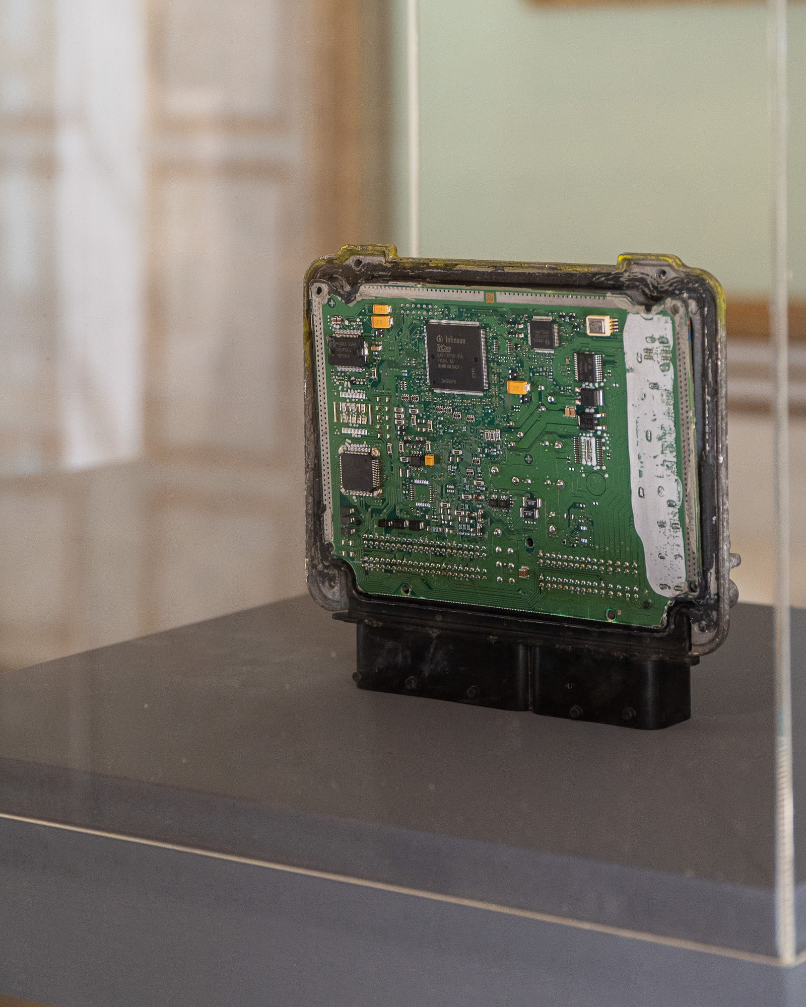 EXPOSED TORINO PHOTO FESTIVAL | 'True Colors'