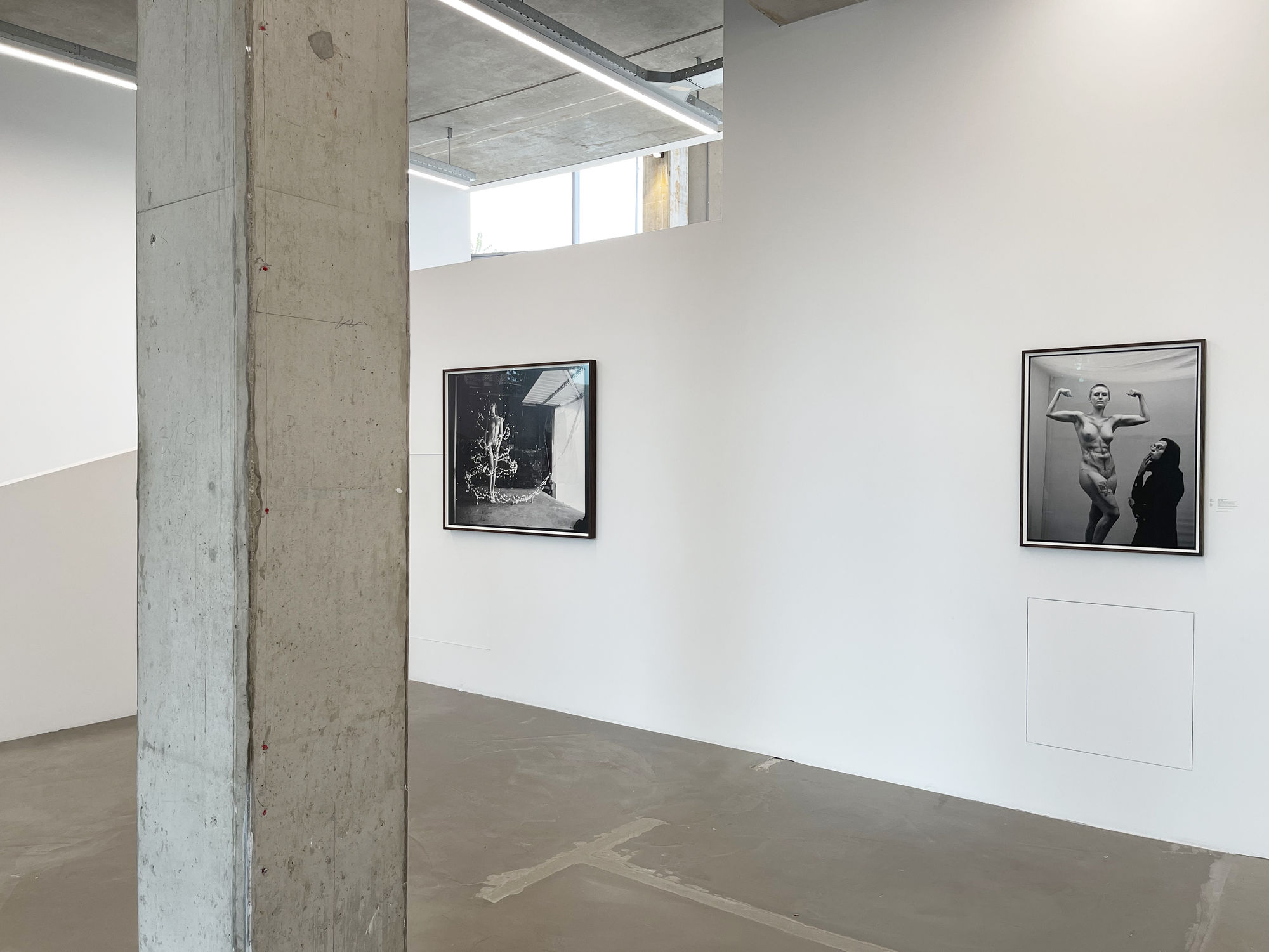 'A Glint In The Kindling'