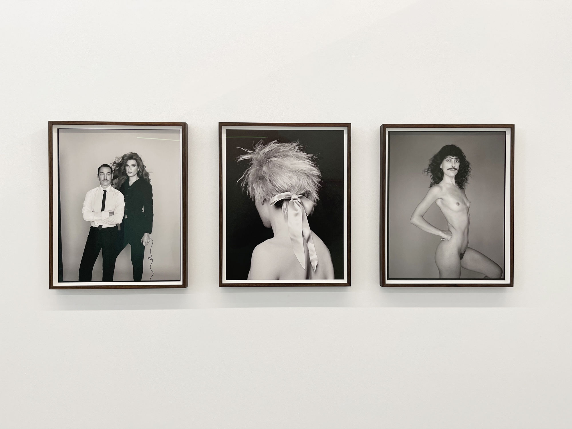 'A Glint In The Kindling'