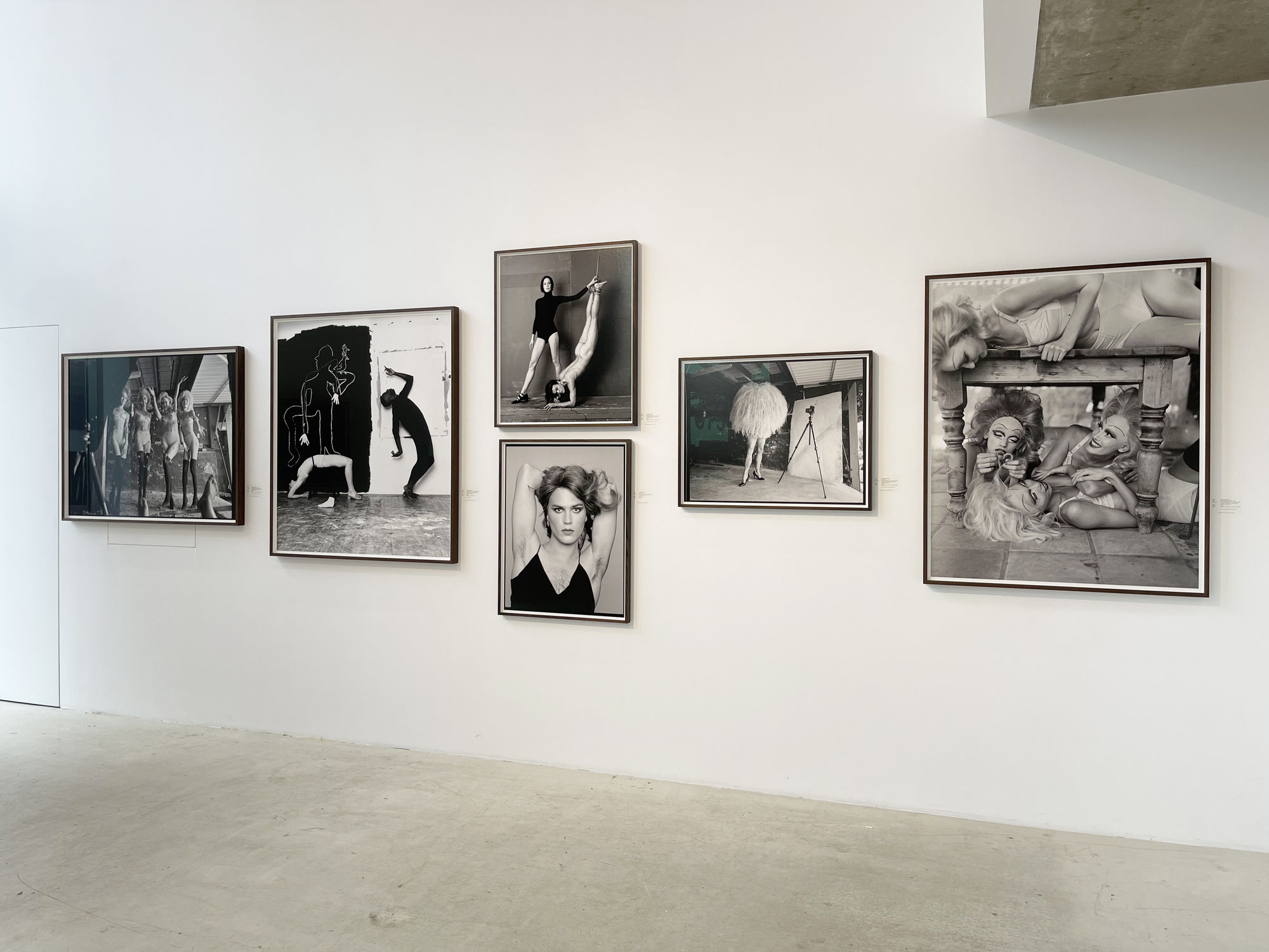 'A Glint In The Kindling'