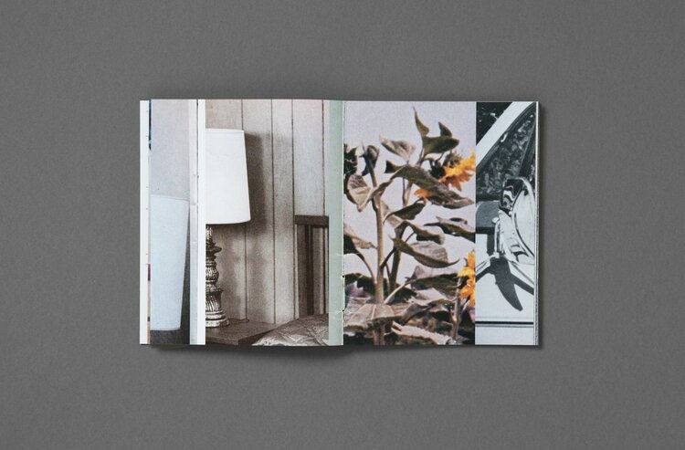 Sample images of I Wish I Never Saw the Sunshine by Pacifico Silano