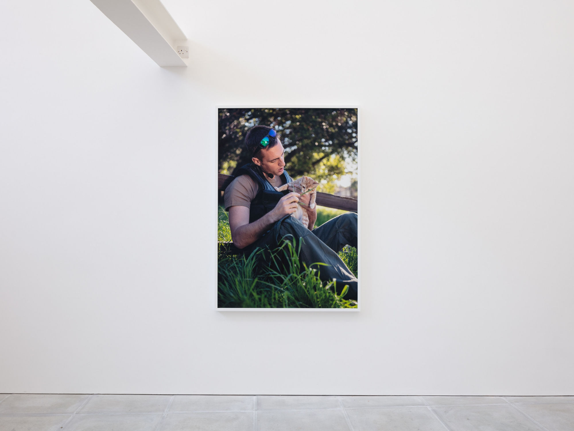 Buck Ellison: Tender Option