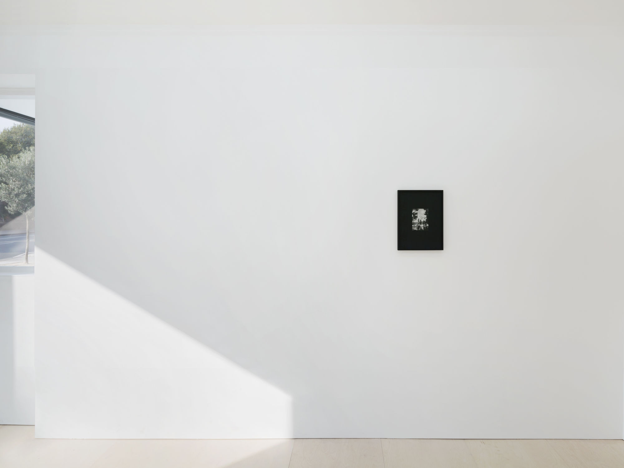 Cynthia Daignault: At Picture Lake