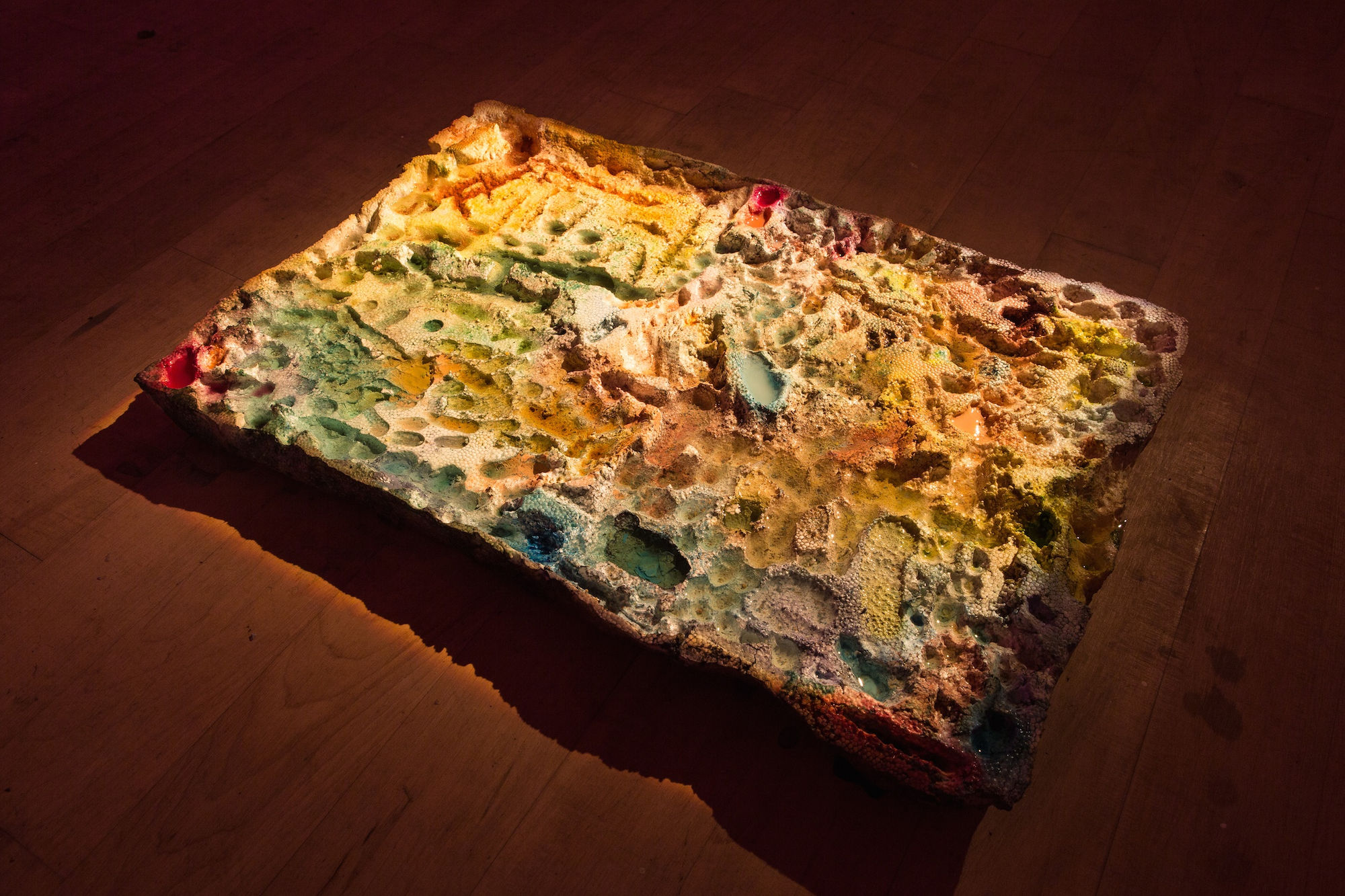 Samara Scott Potato diggers, 2014 Fishbox Styrofoam lid, water, food colouring, watercolours