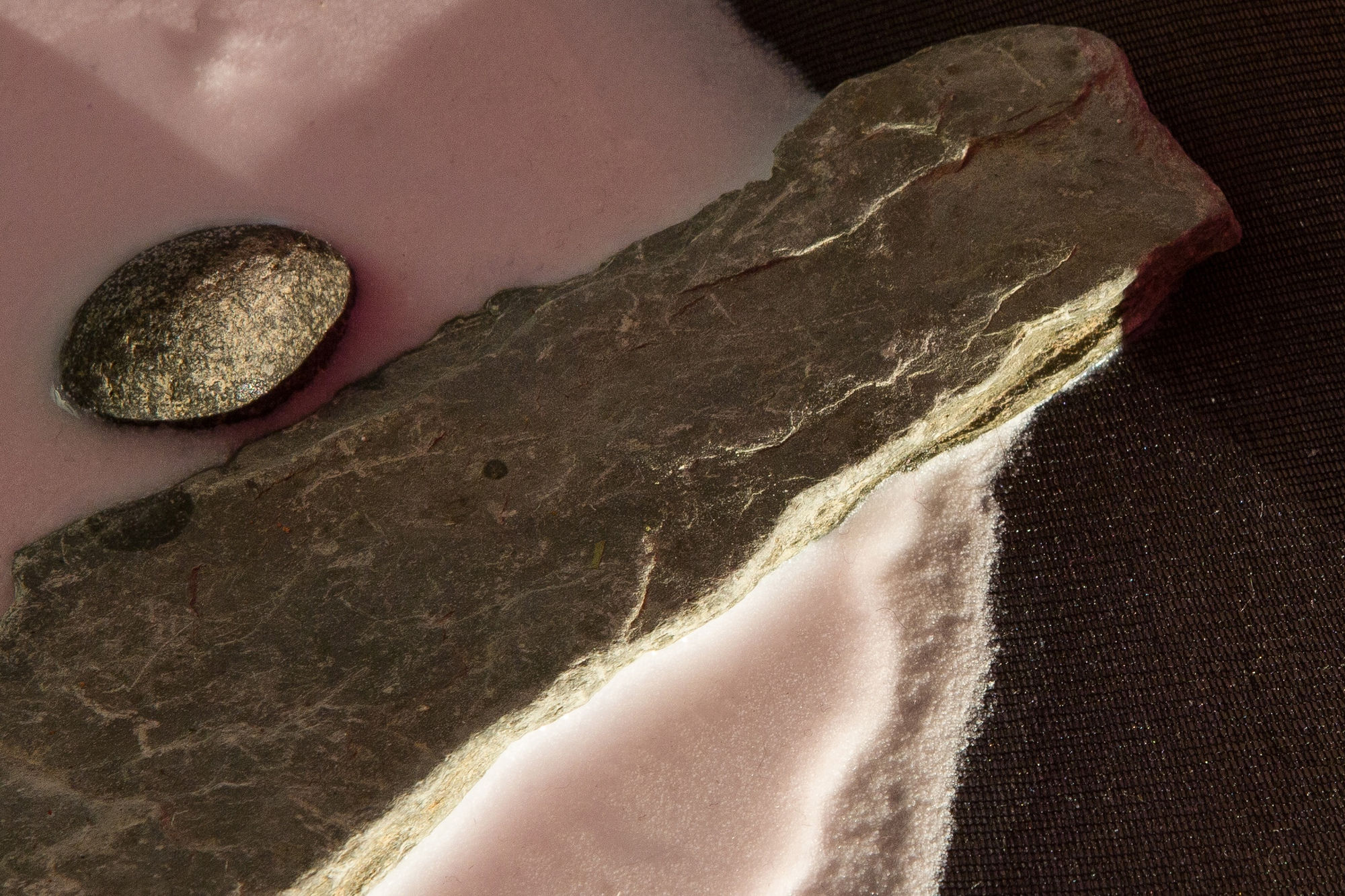 Samara Scott Sogetsu (heaven), 2014 Baking tray, tights, lenor fabric softener, avocado skin, aquarium rocks, potatoes