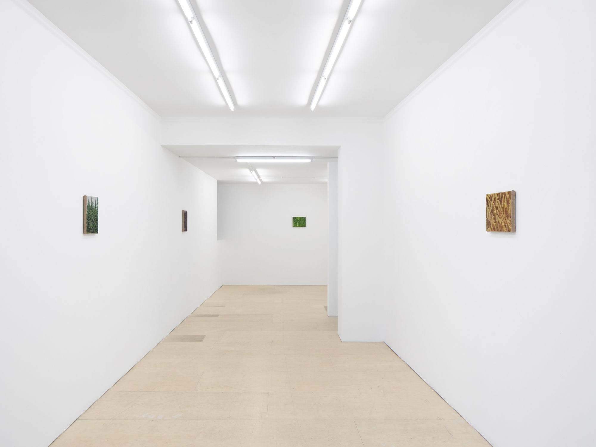 Jennifer J. Lee: Drop Ceiling