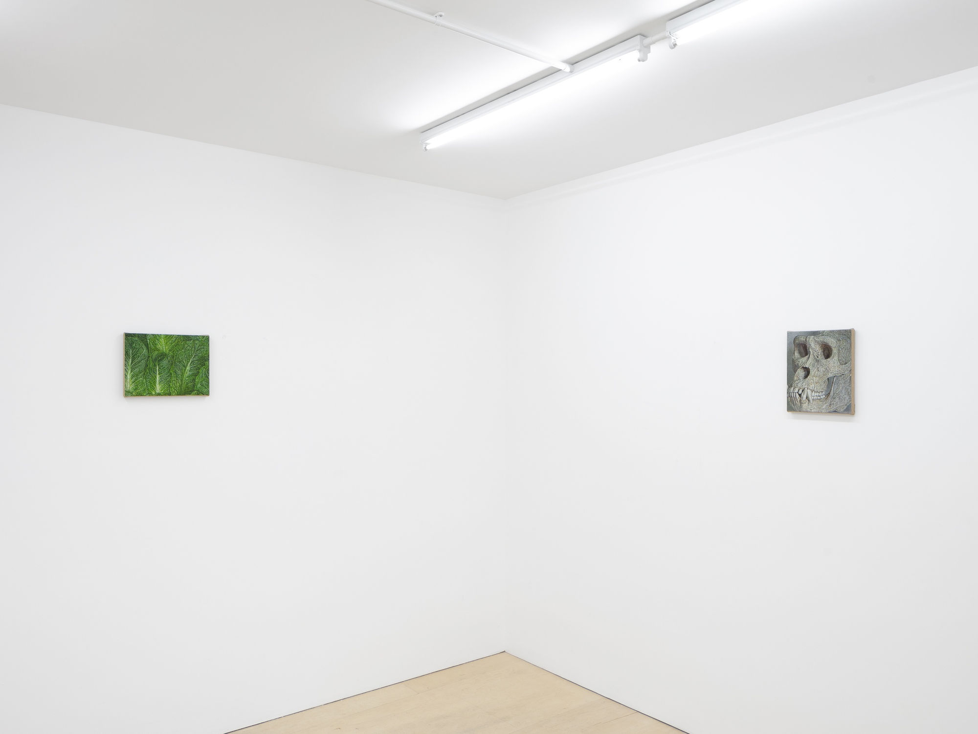 Jennifer J. Lee: Drop Ceiling